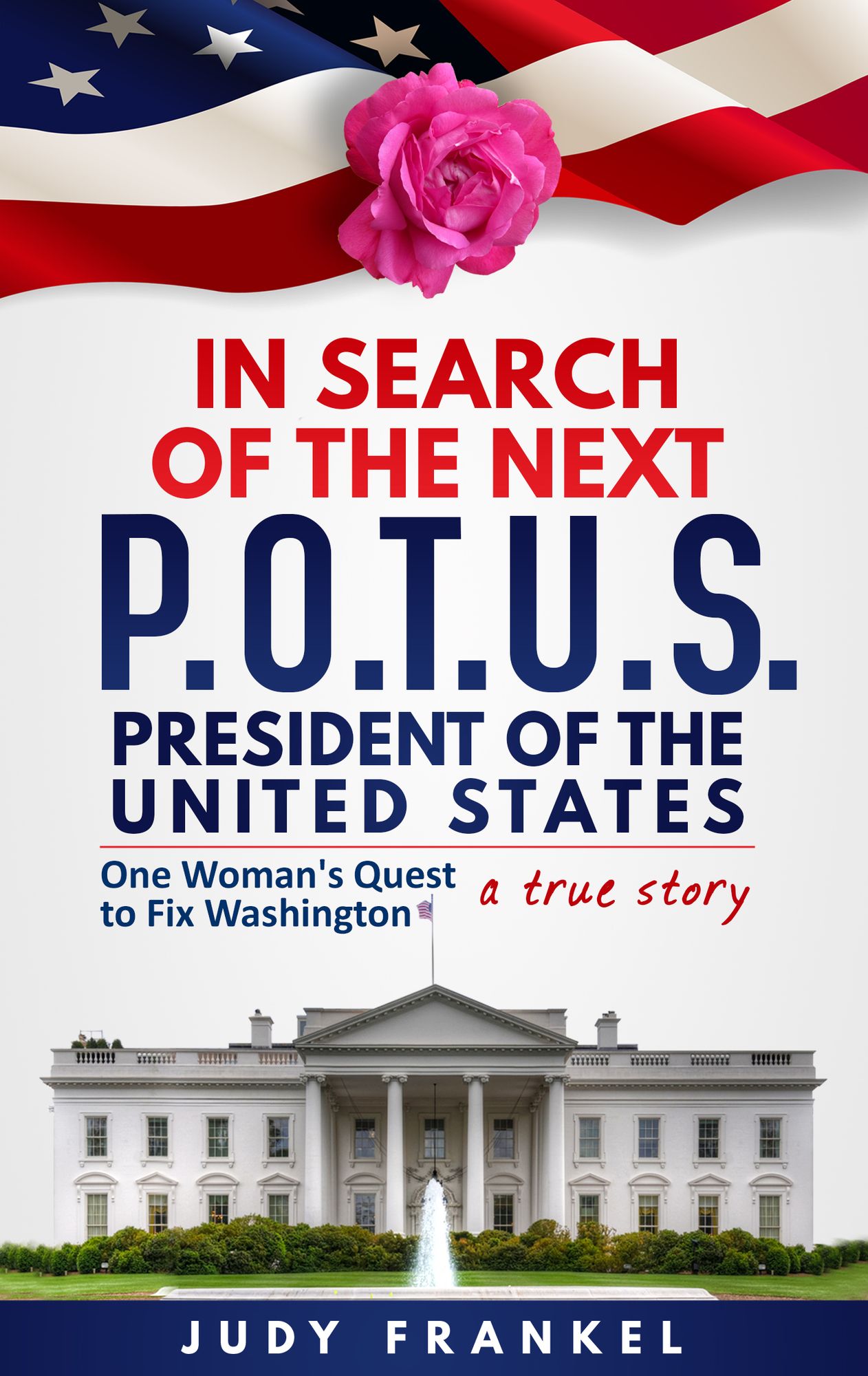 In Search of the Next POTUS (President of the United States): One Woman's Quest to Fix Washington, a True Story