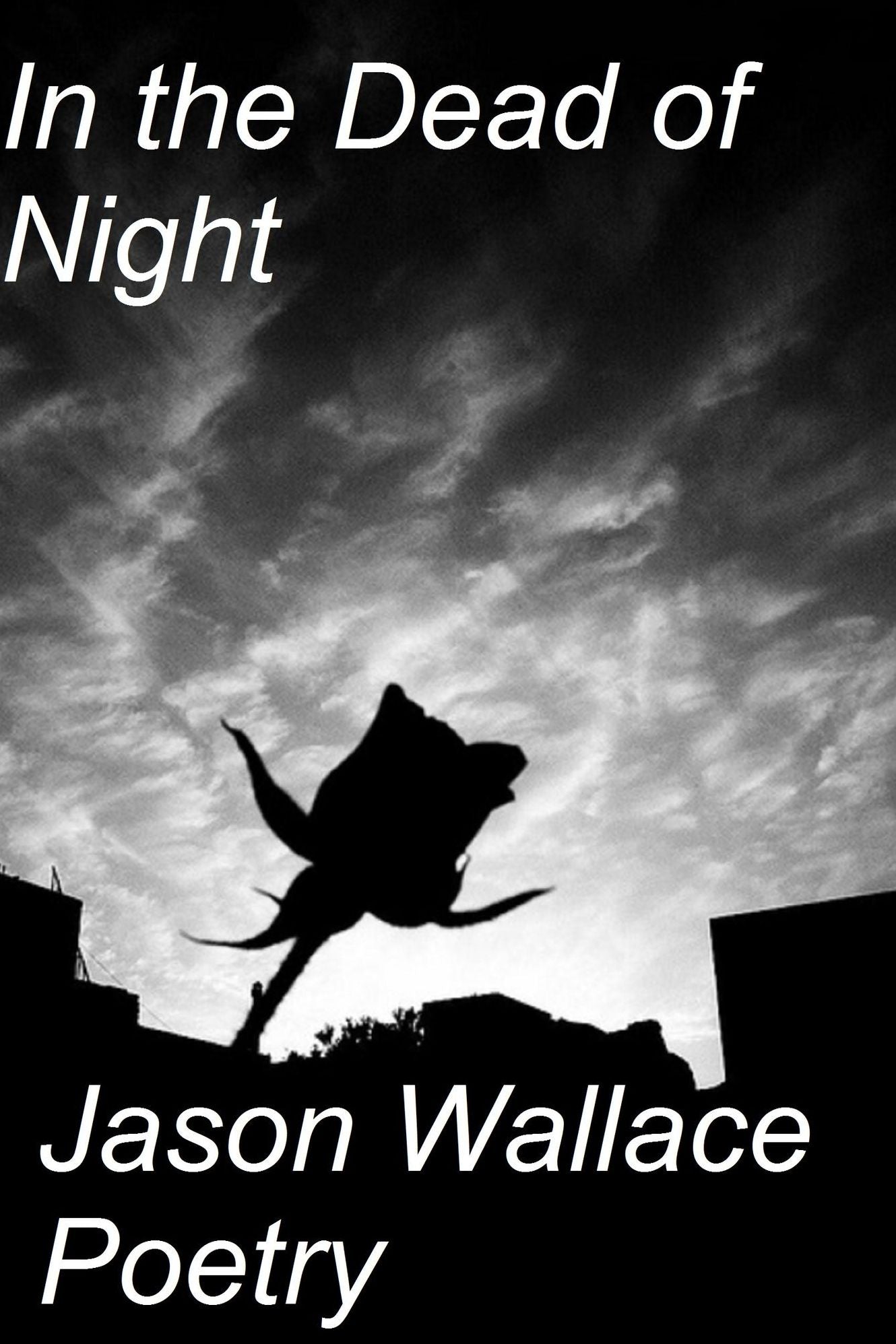 In the Dead of Night