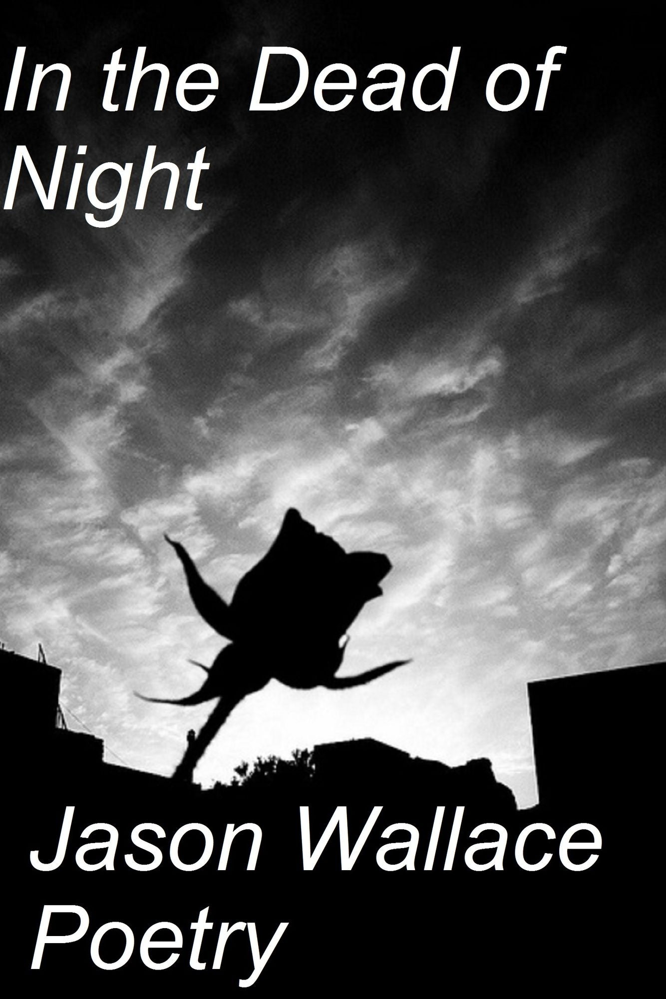 In the Dead of Night