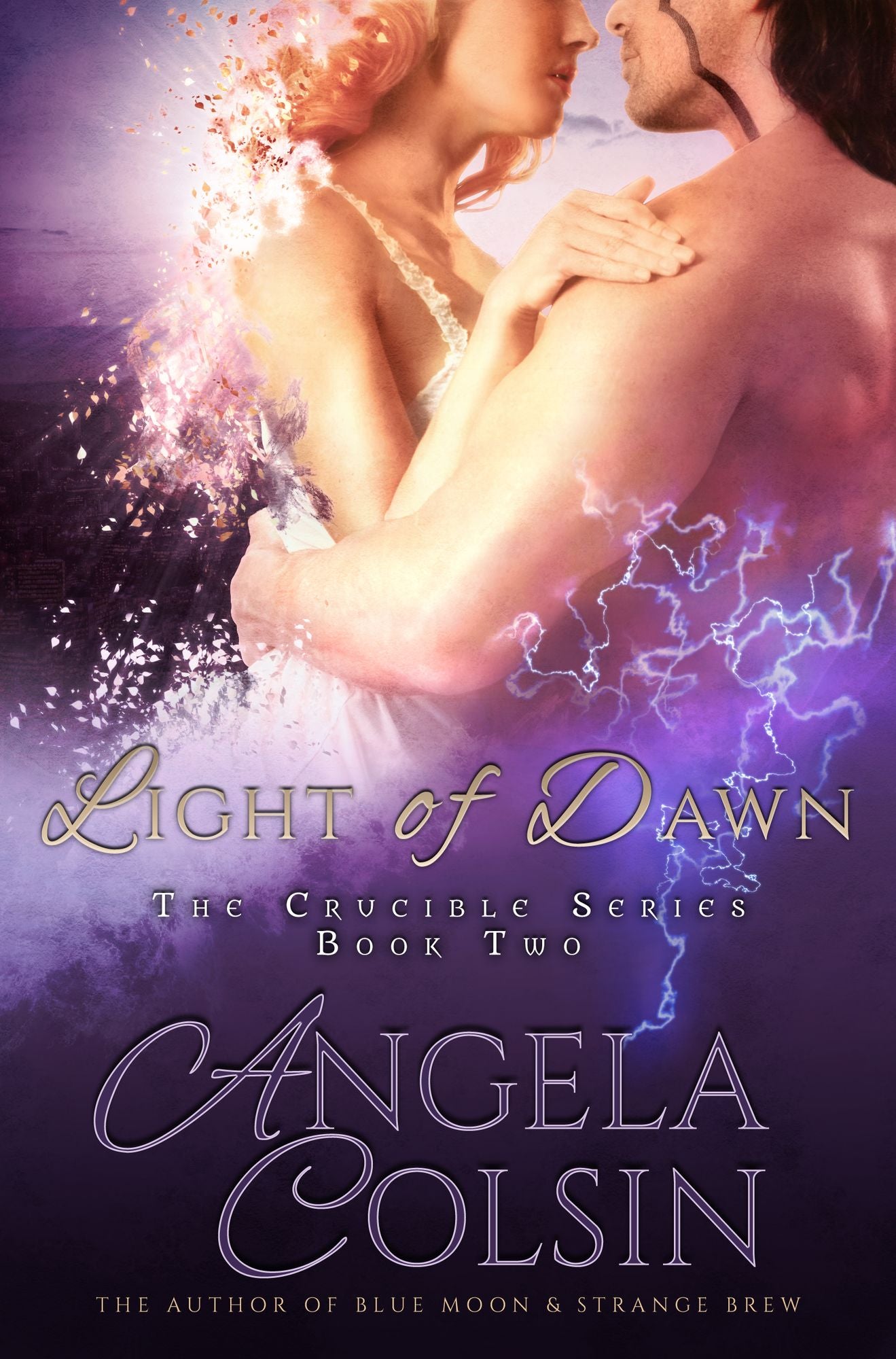 Light of Dawn (The Crucible Series Book 2)