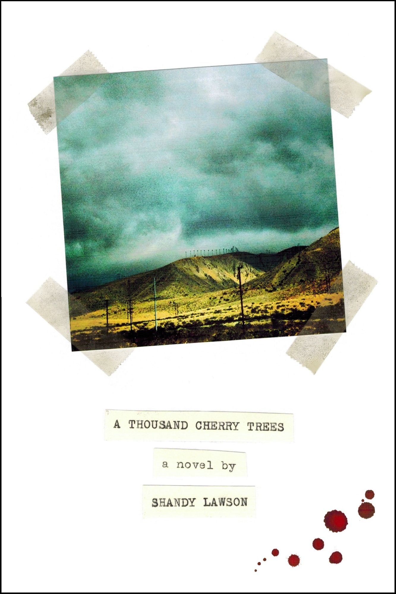 A Thousand Cherry Trees