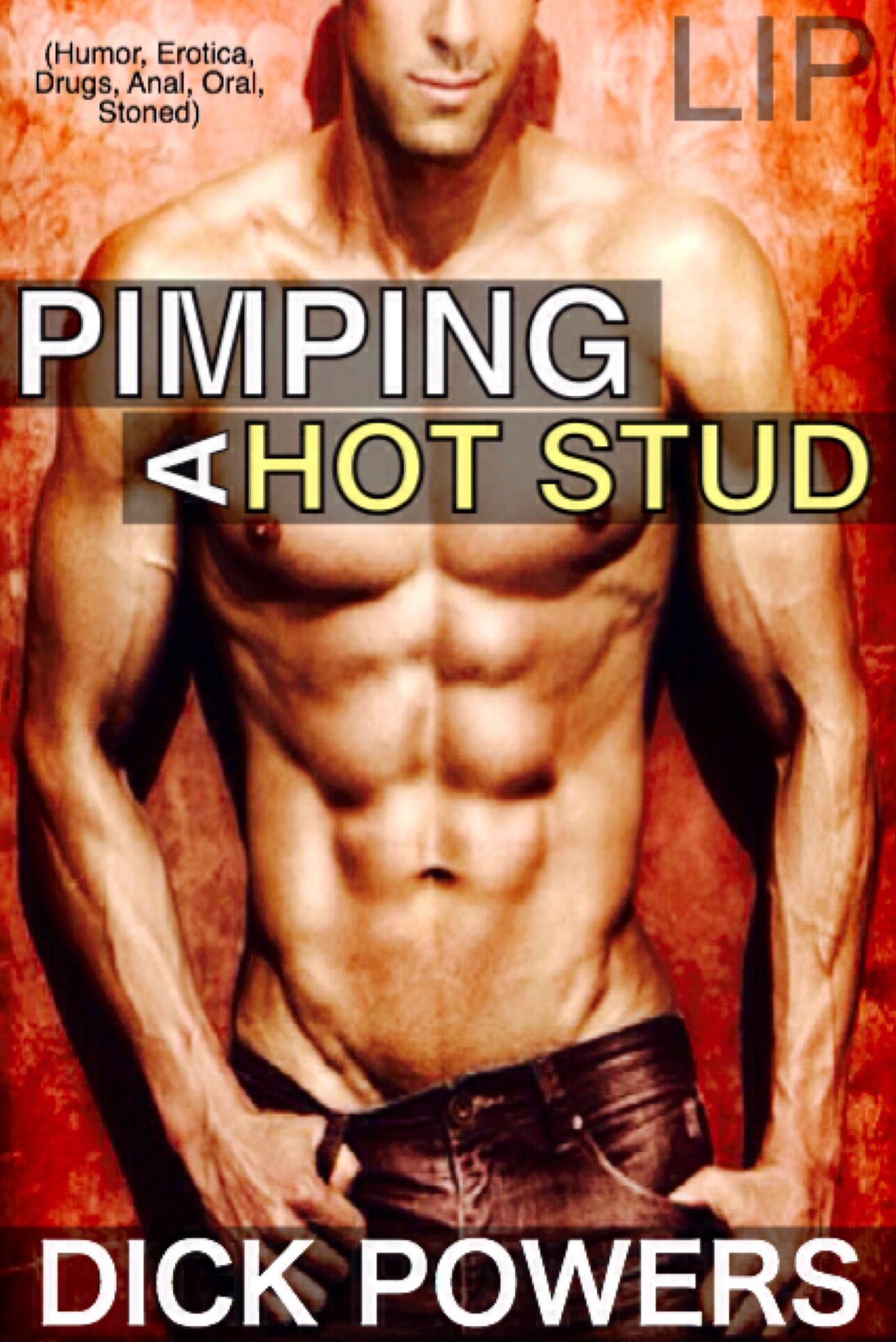 Pimping A Hot Stud (Humor, Erotica, Drugs, Anal, Oral, Stoned)