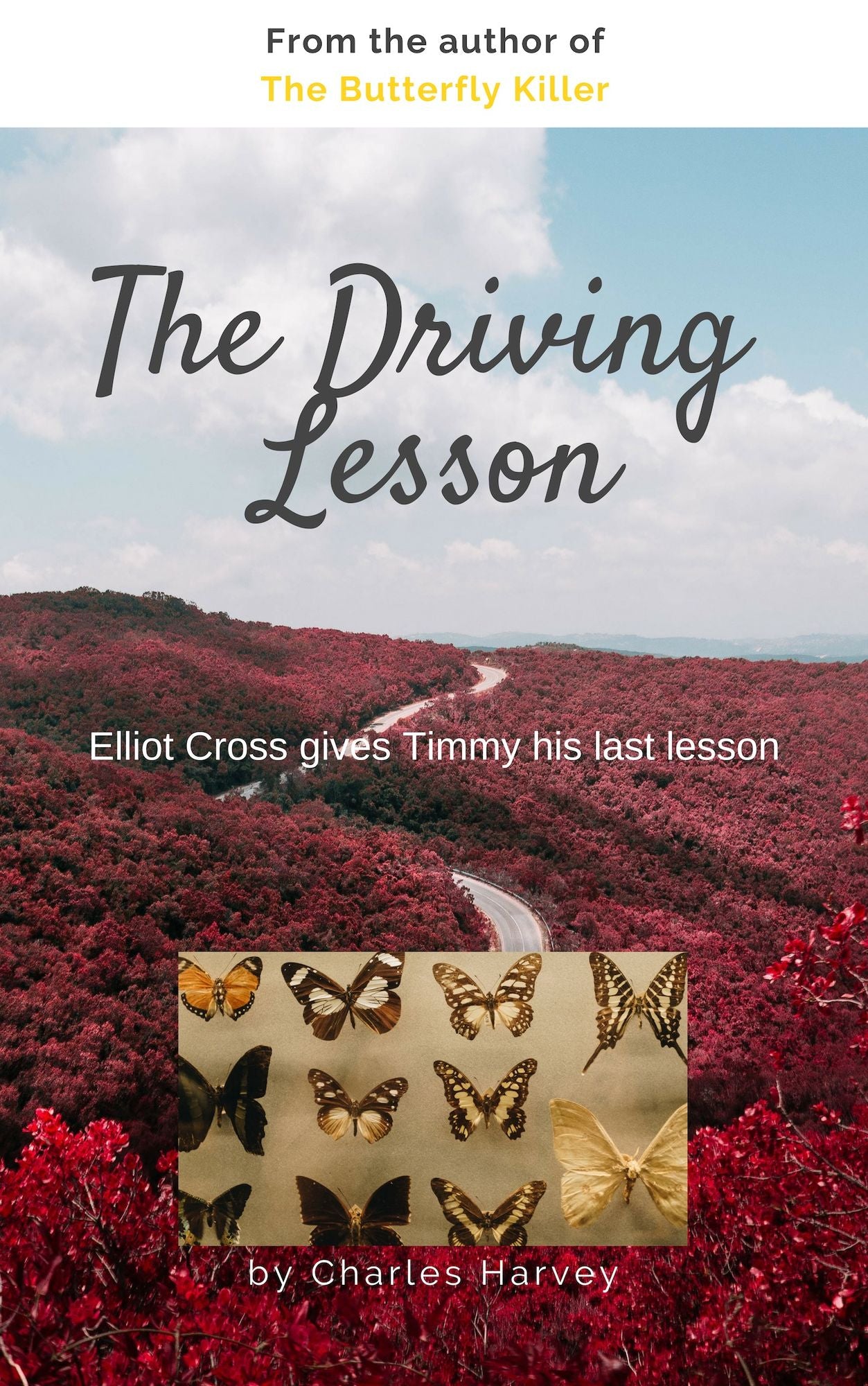The Driving Lesson