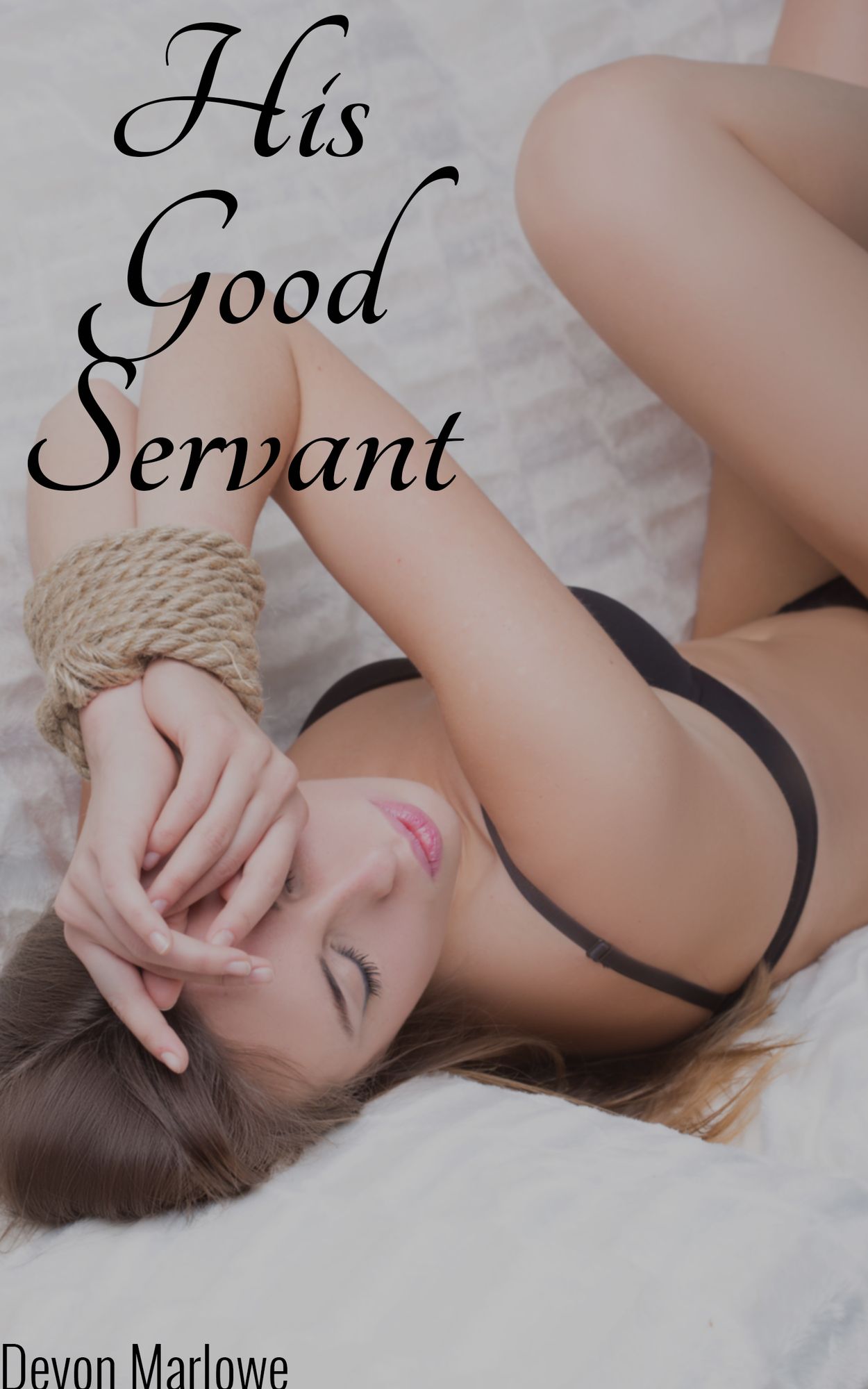 His Good Servant (BDSM Erotica)