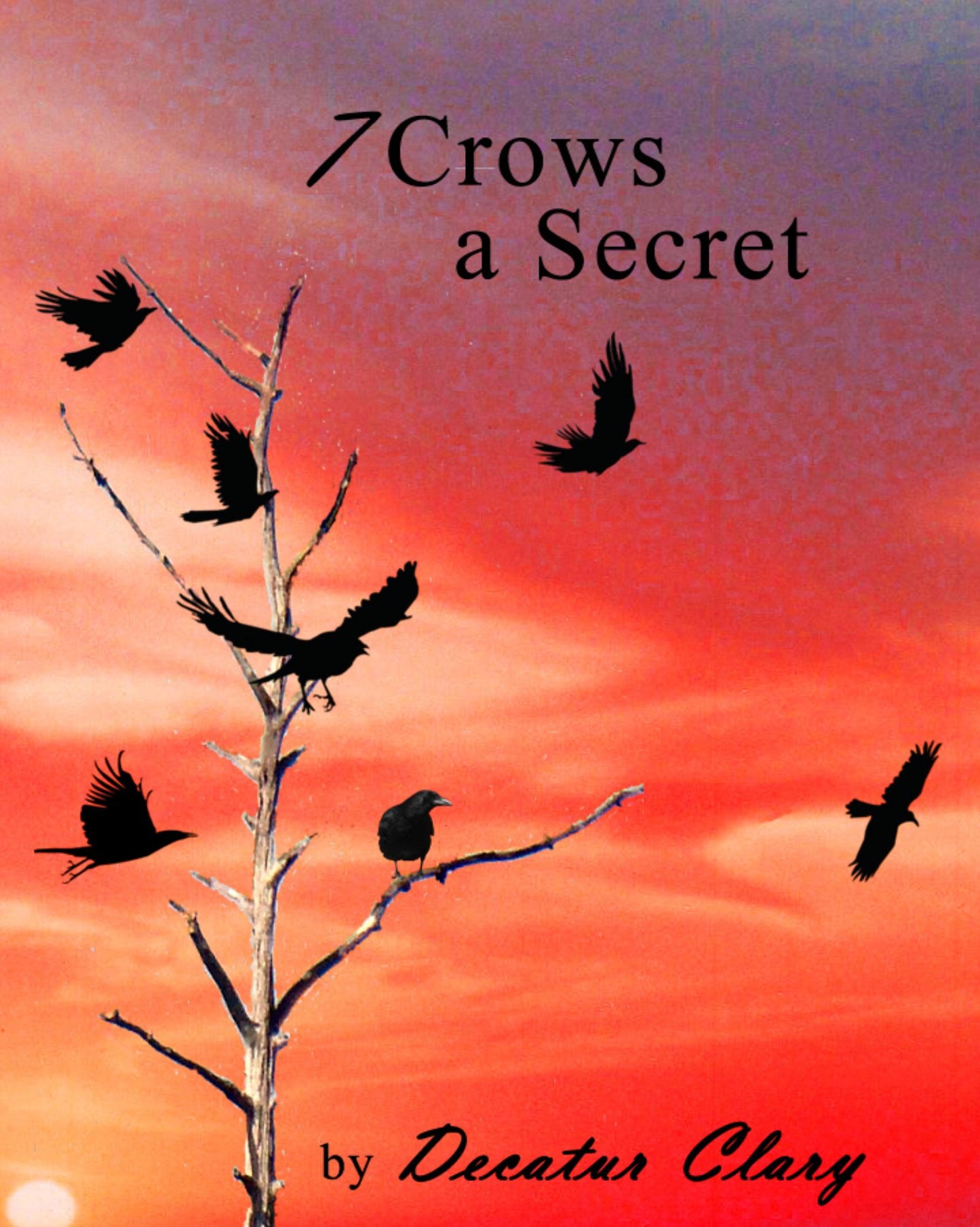 7 Crows, A Secret