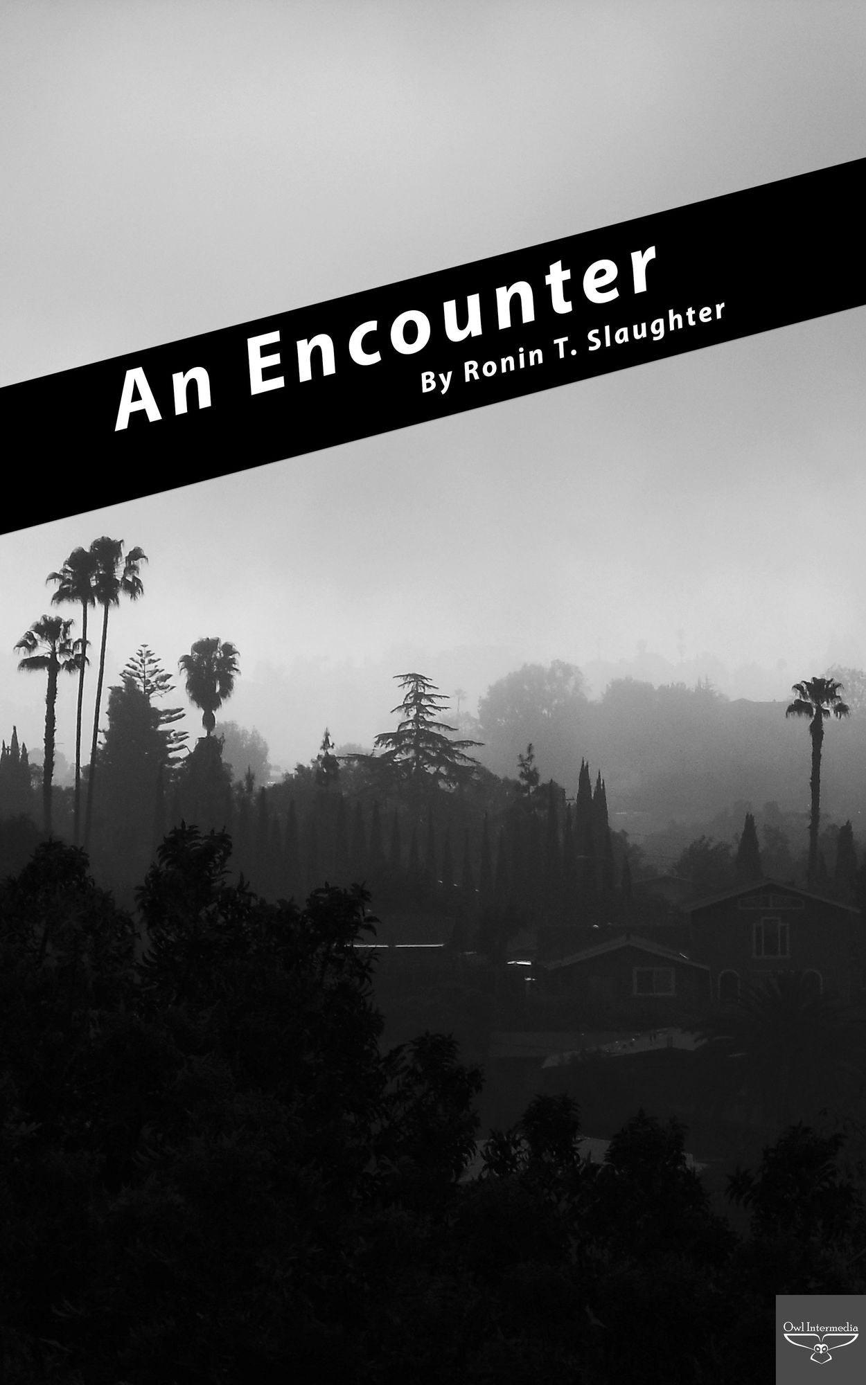 An Encounter
