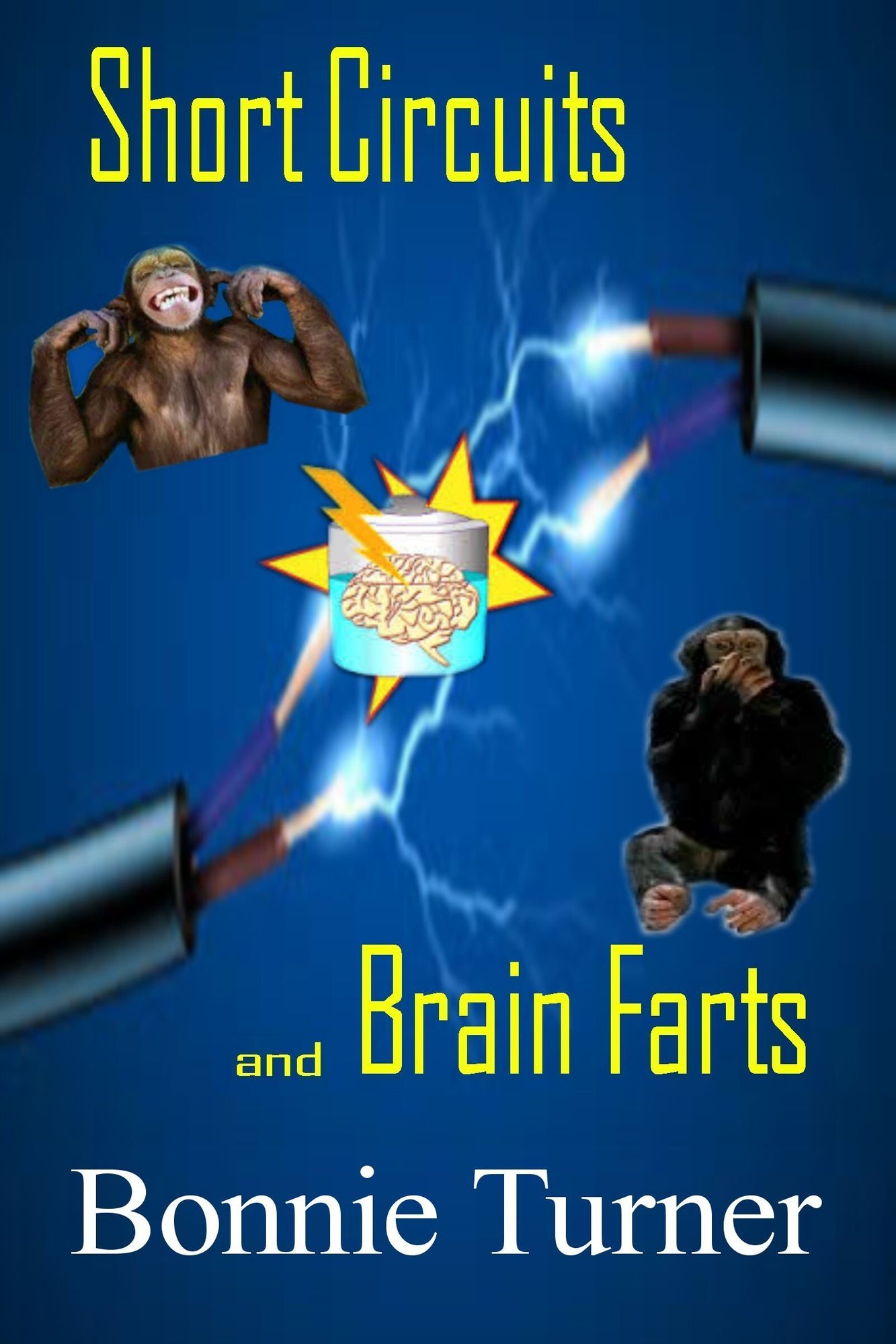 Short Circuits & Brain Farts