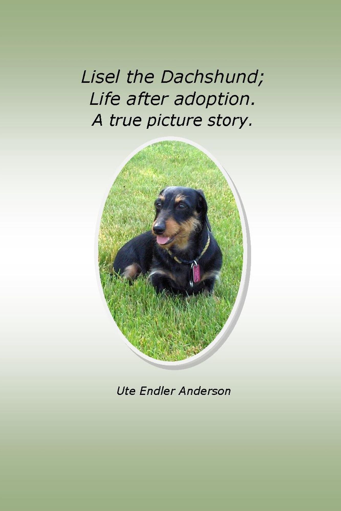 Lisel The Dachshund; Life after adoption. A true picture story.