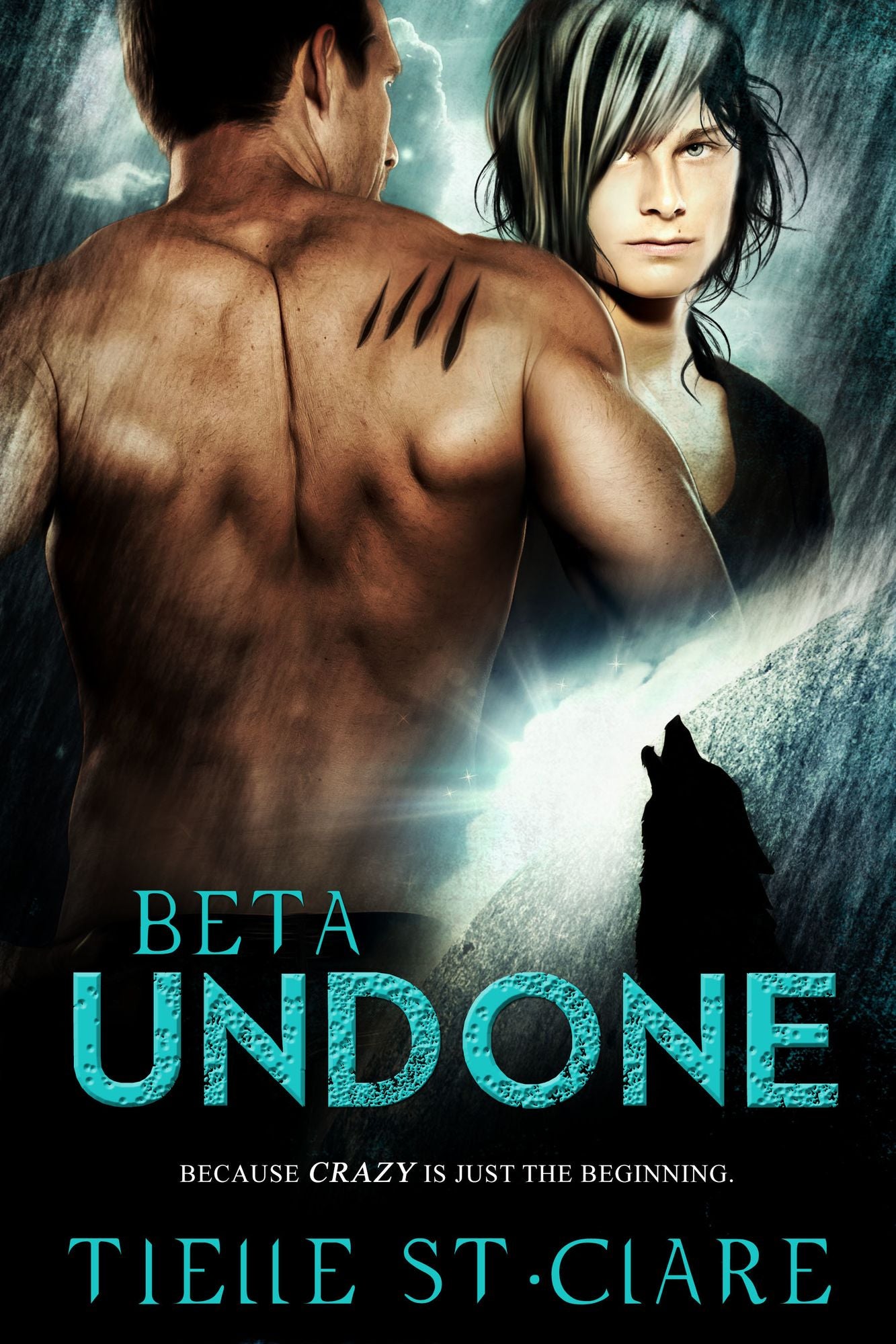 Beta Undone (Lone Wolves Book 2)