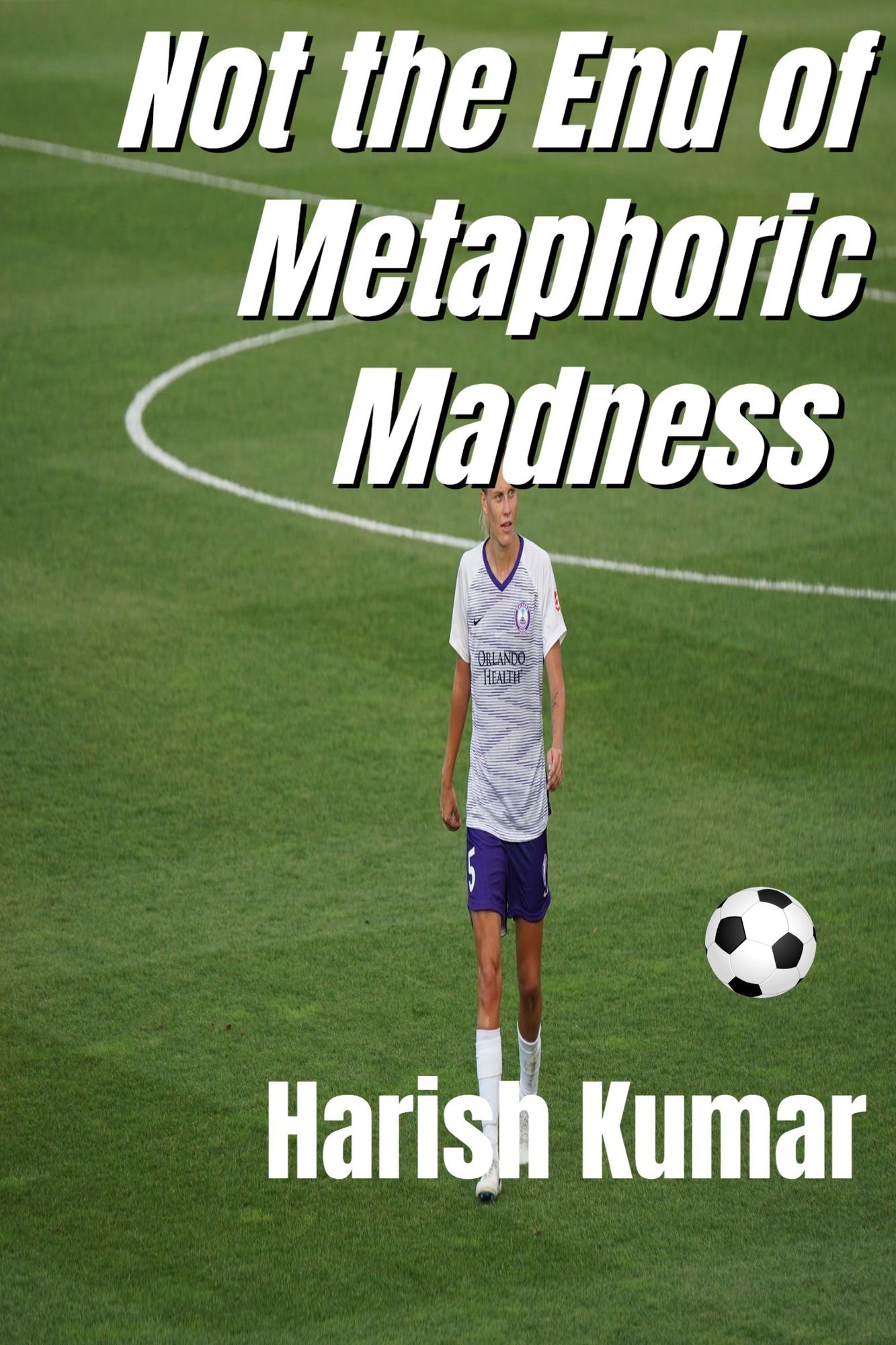 Not the End of Metaphoric Madnes