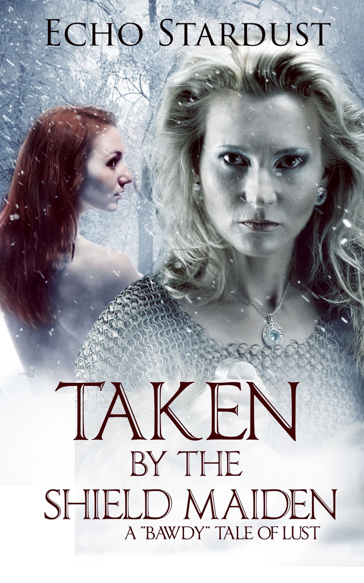 Taken By The Shield Maiden
