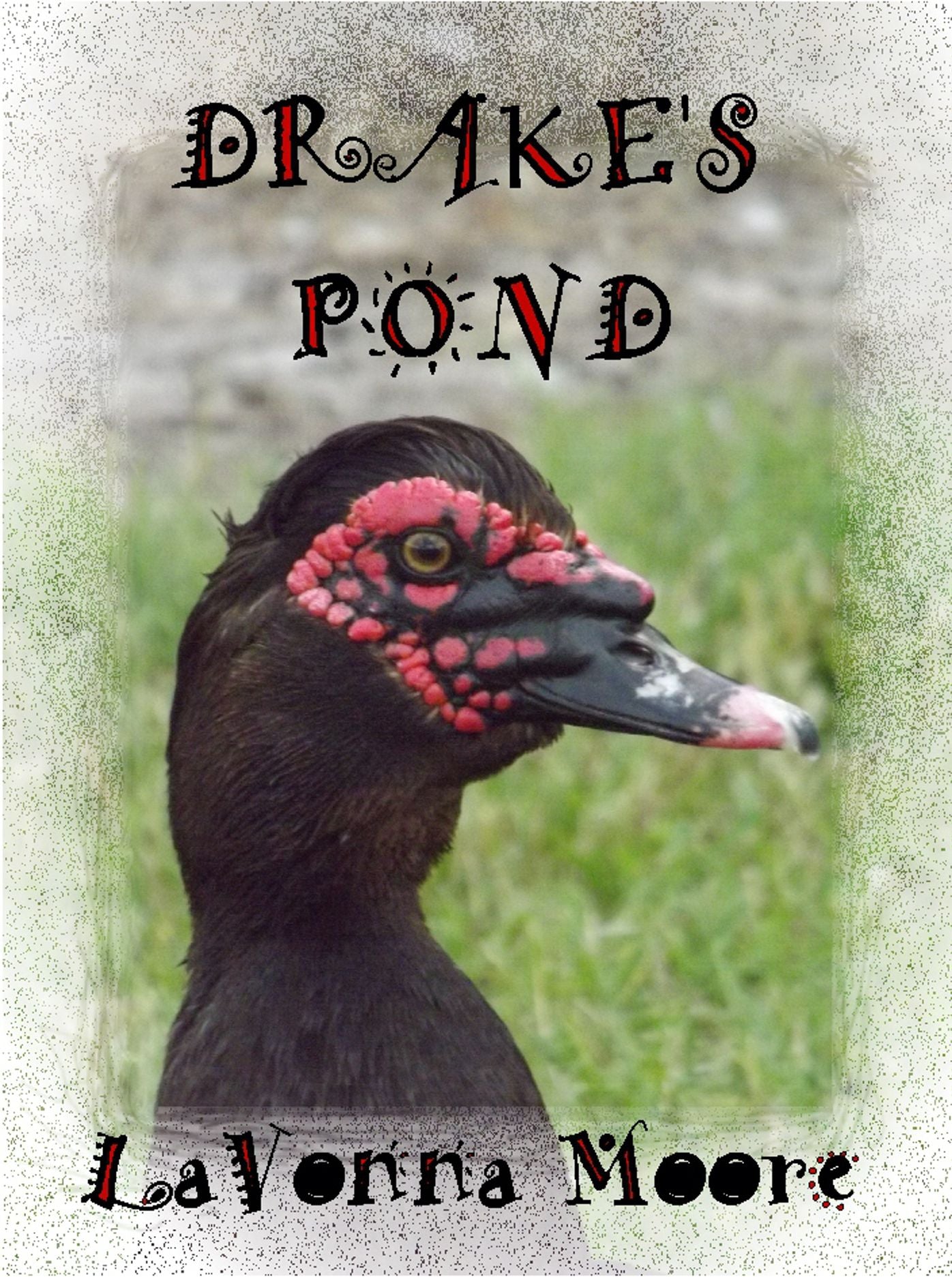 Drake's Pond