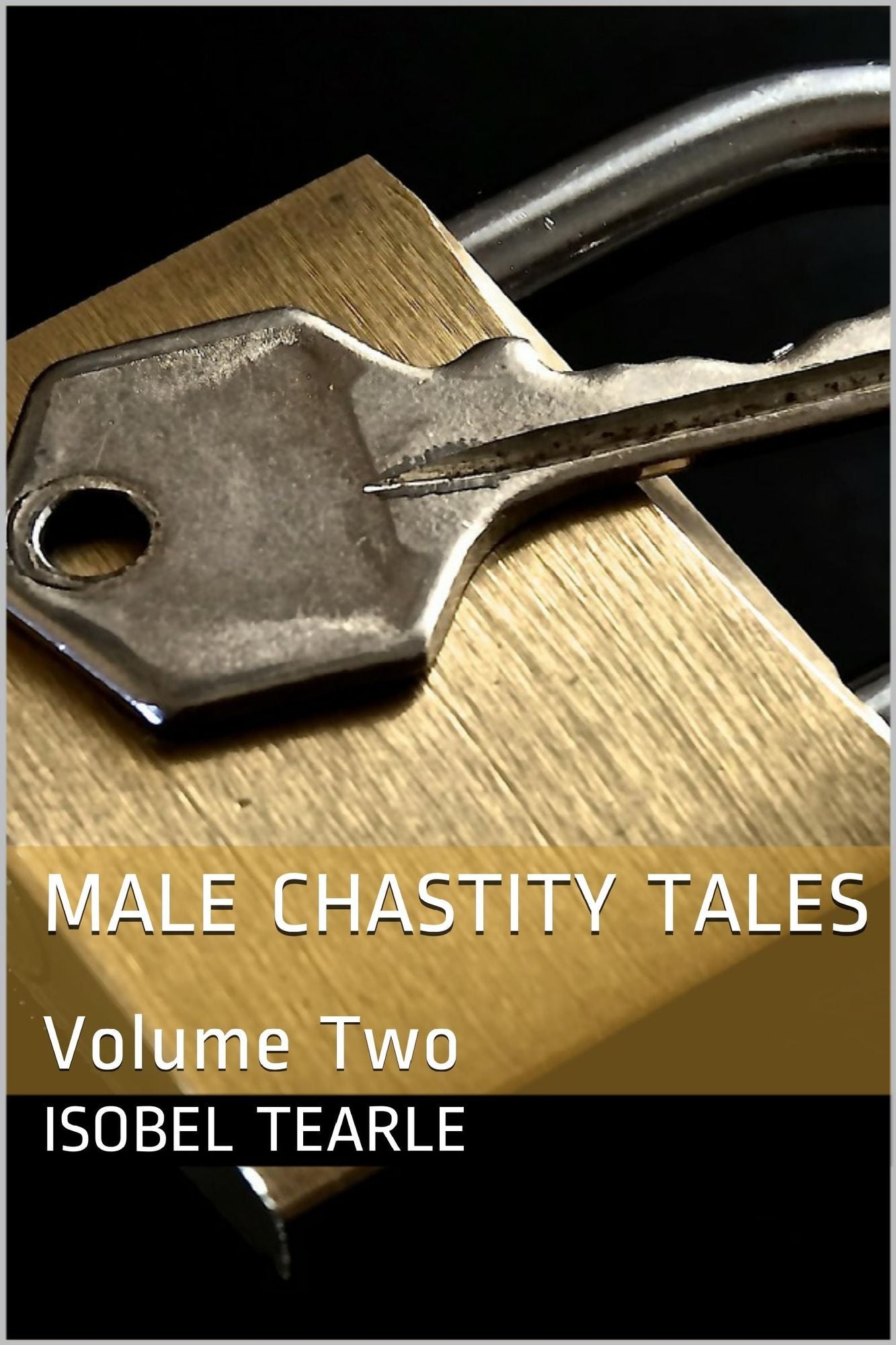 Male Chastity Tales: Volume Two (Femdom, Chastity)