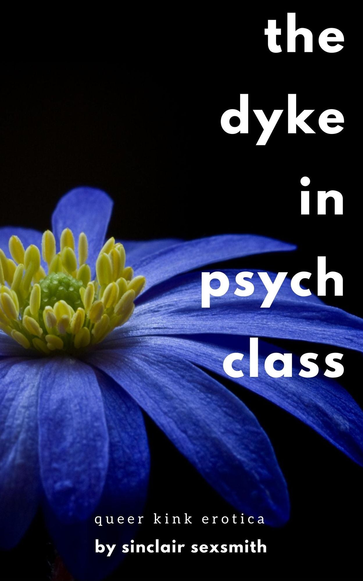 The Dyke in Psych Class: Butch/Femme Erotica