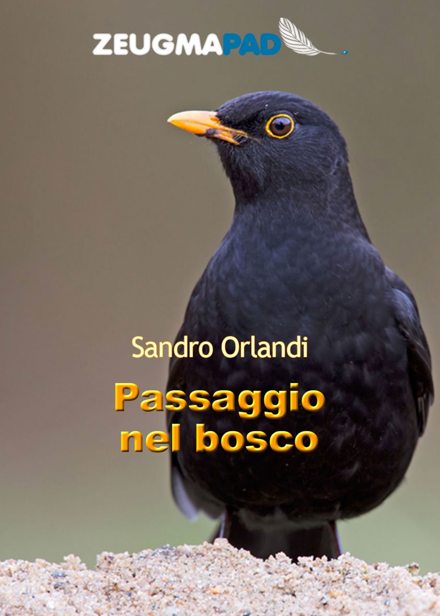 Passaggio nel bosco