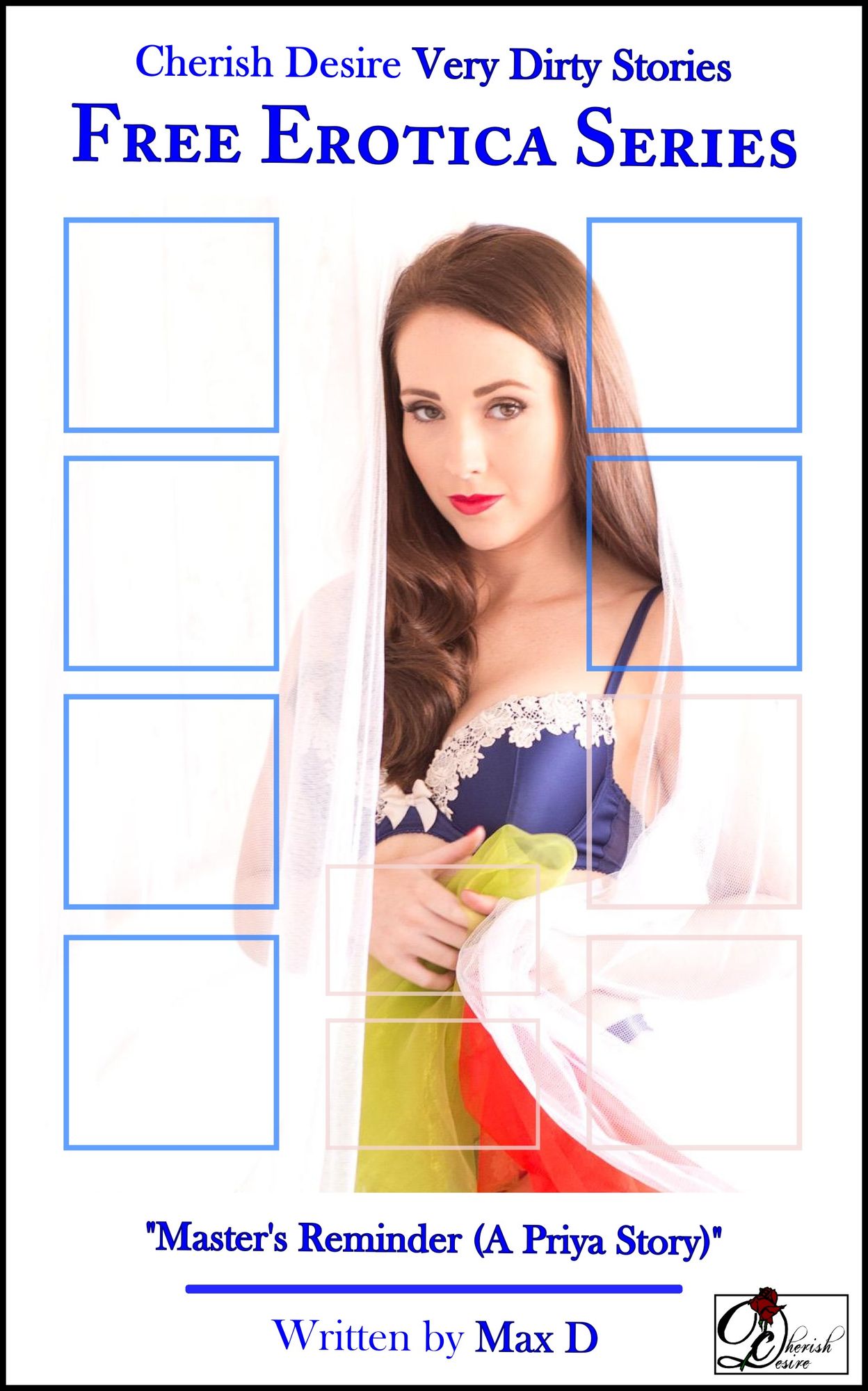Very Dirty Stories Free Erotica Series Presents: "Master's Reminder (A Priya Story)"