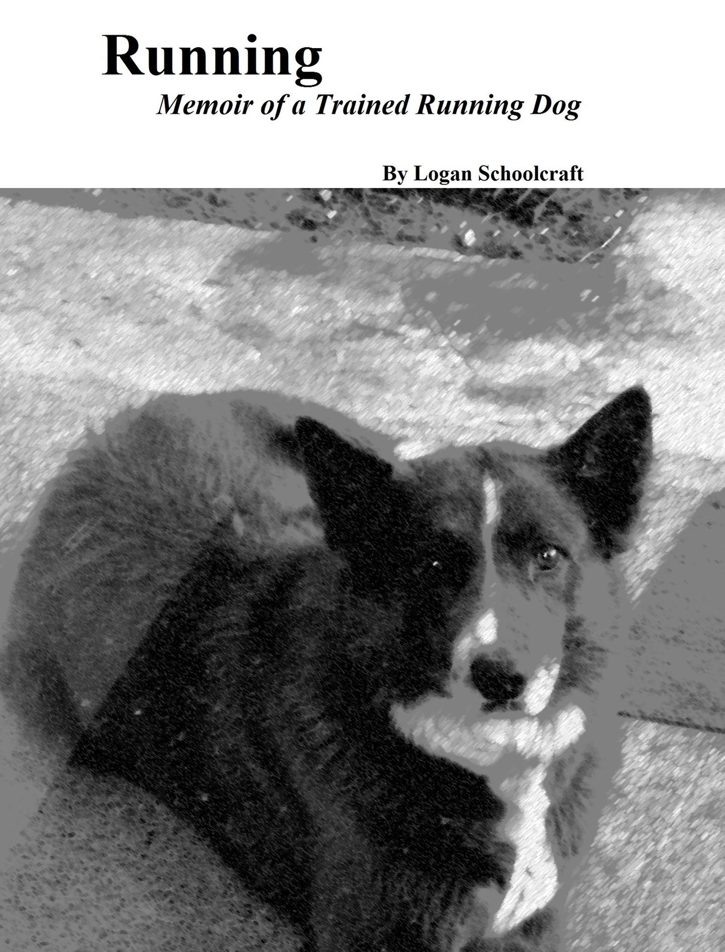 Running: Memoir of a Trained Running Dog