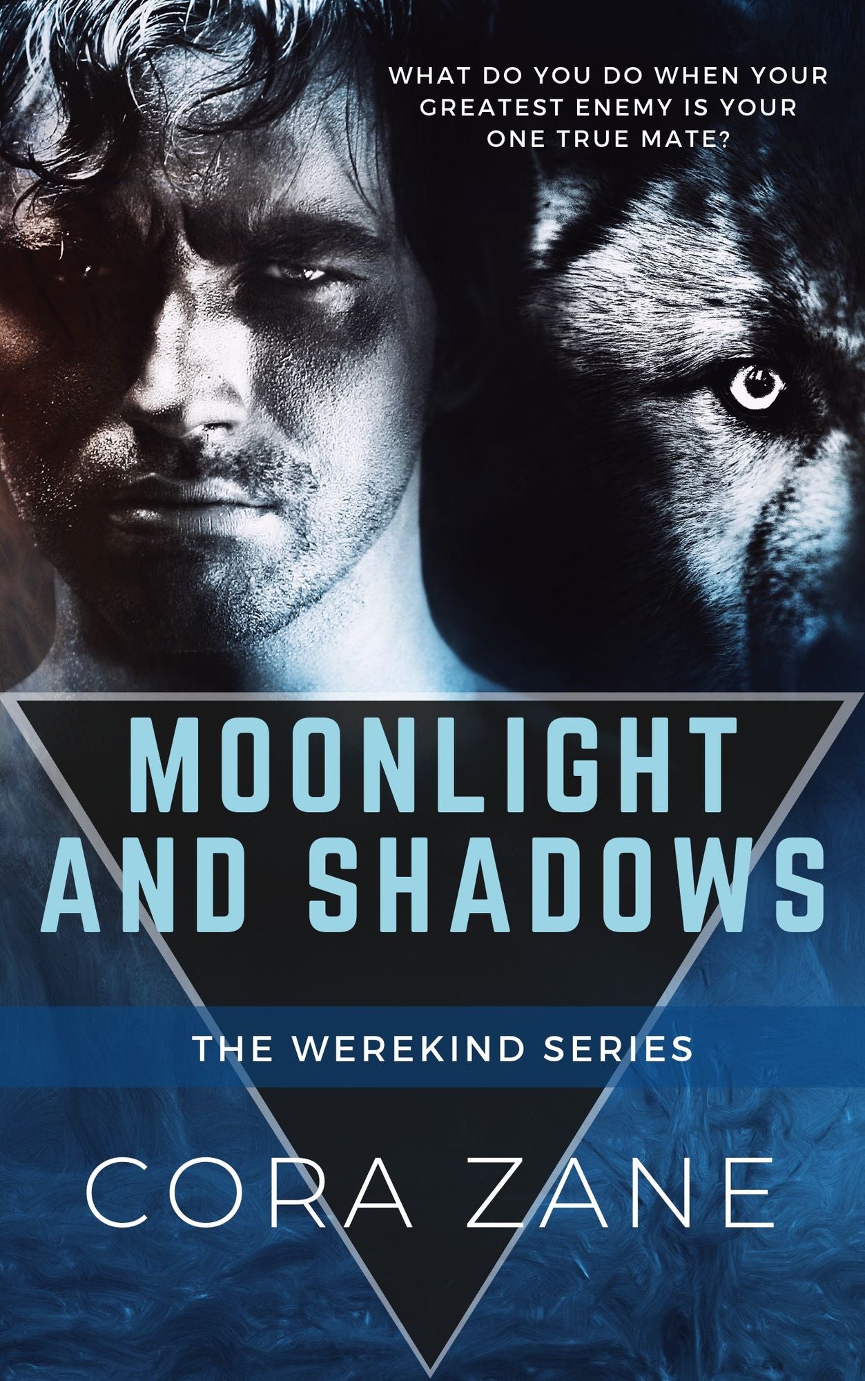 Moonlight and Shadows