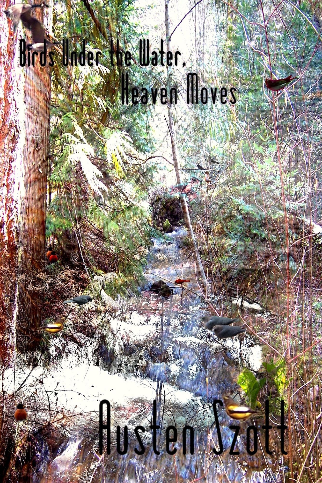 Birds Under the Water, Heaven Moves