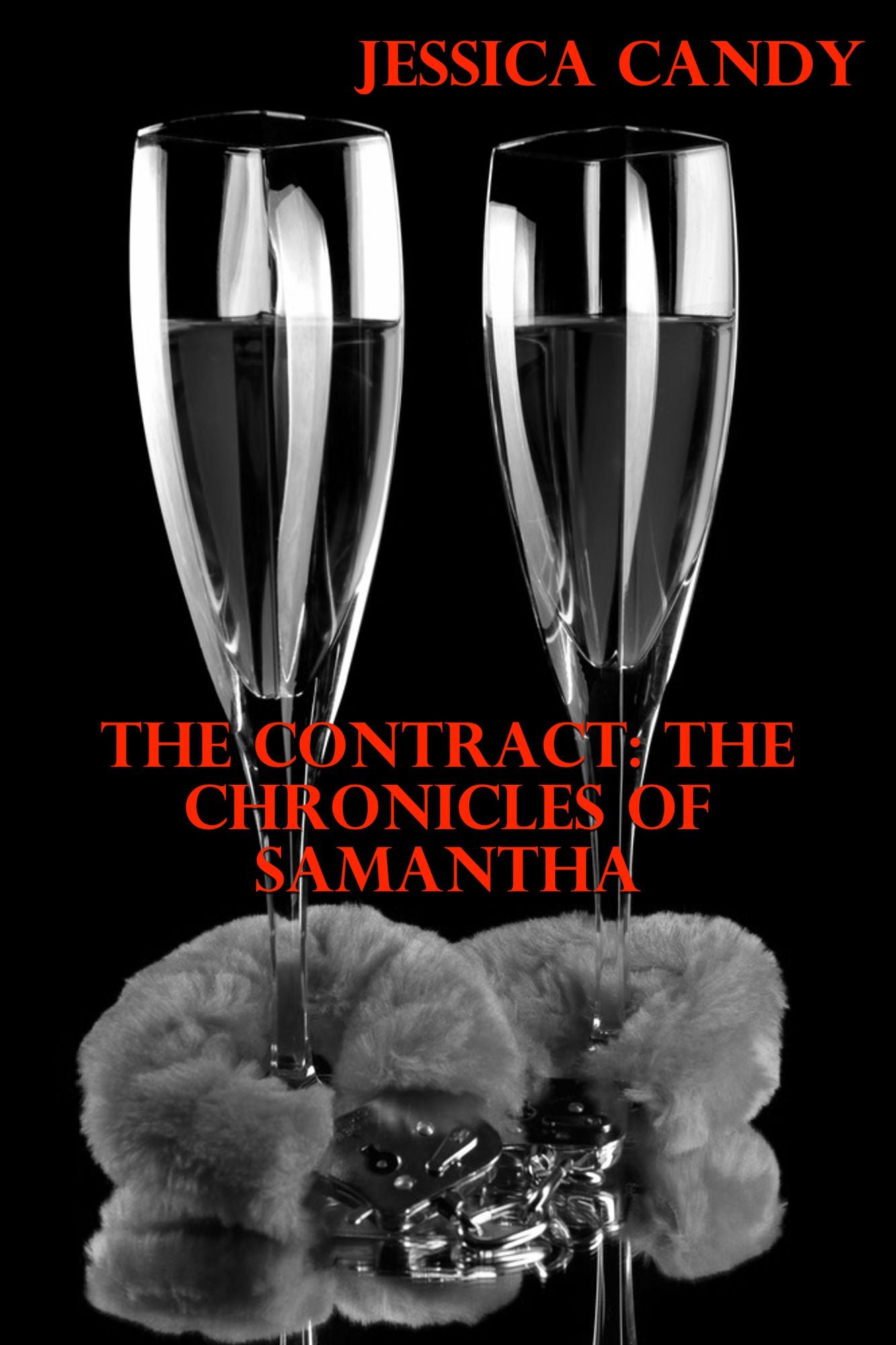The Contract: The Chronicles Of Samantha