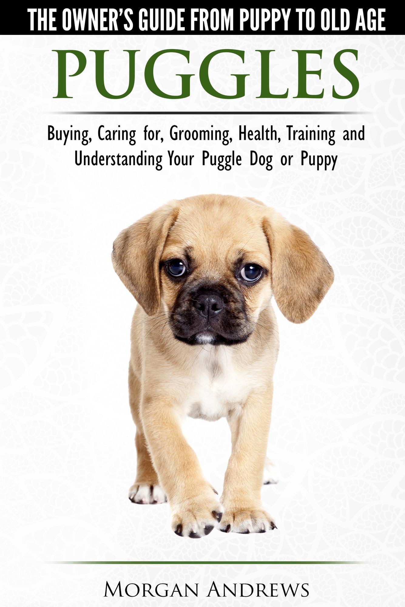 Puggles: The Owner's Guide from Puppy to Old Age - Choosing, Caring for, Grooming, Health, Training and Understanding Your Puggle Dog or Puppy