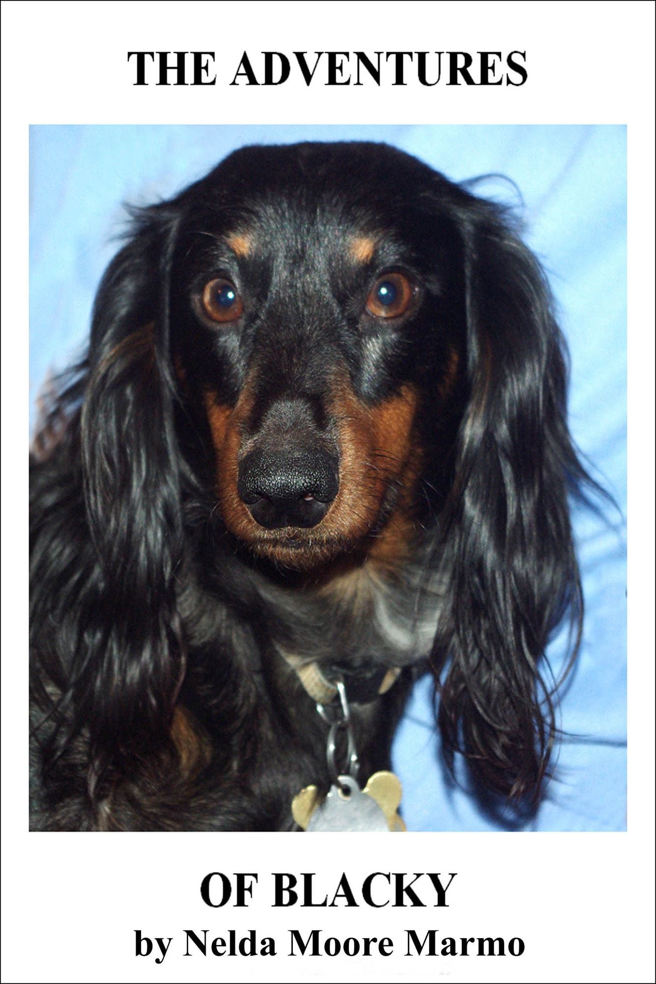 The Adventures Of Blacky