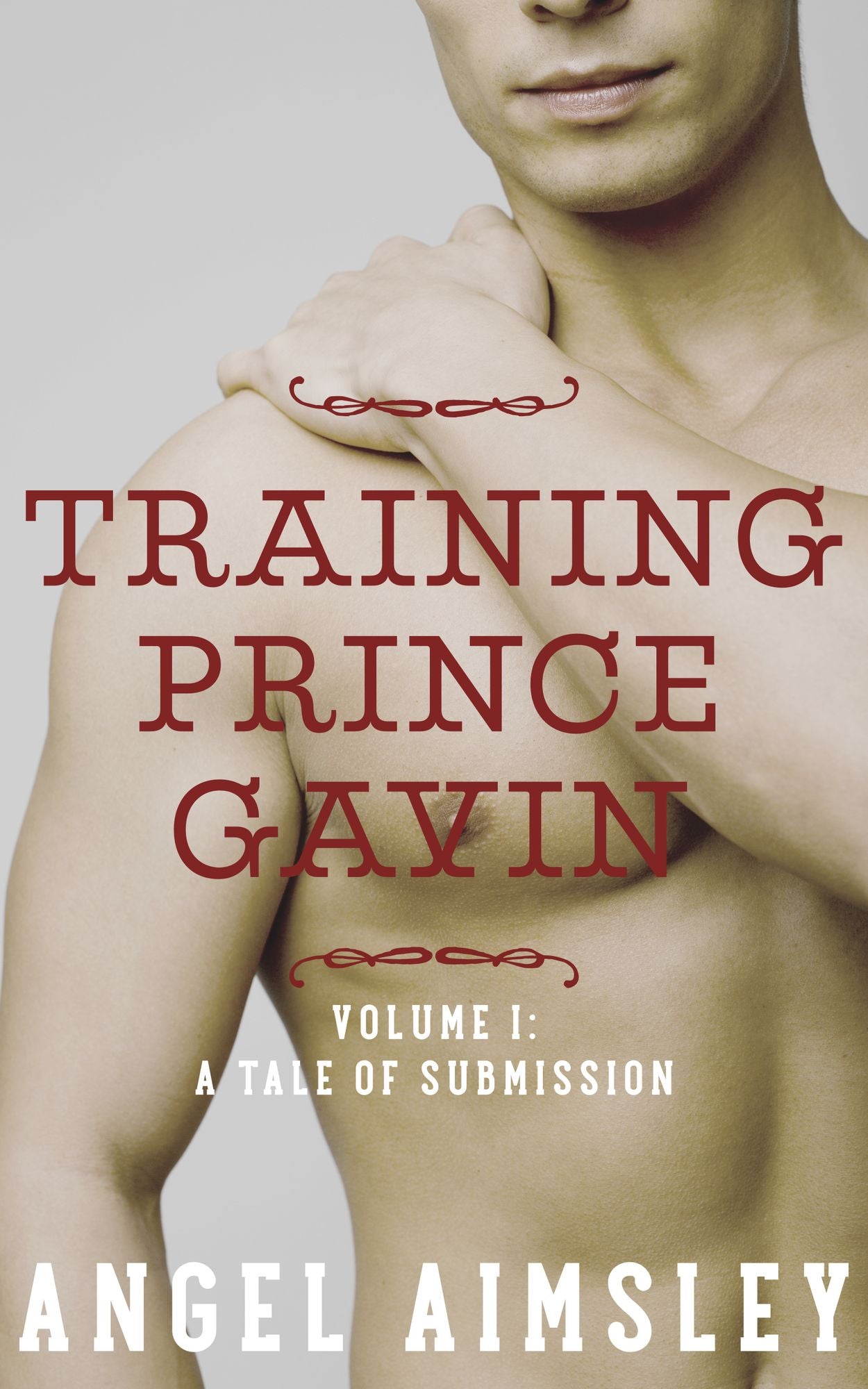 Training Prince Gavin: Vol. 1 A Tale of Submission