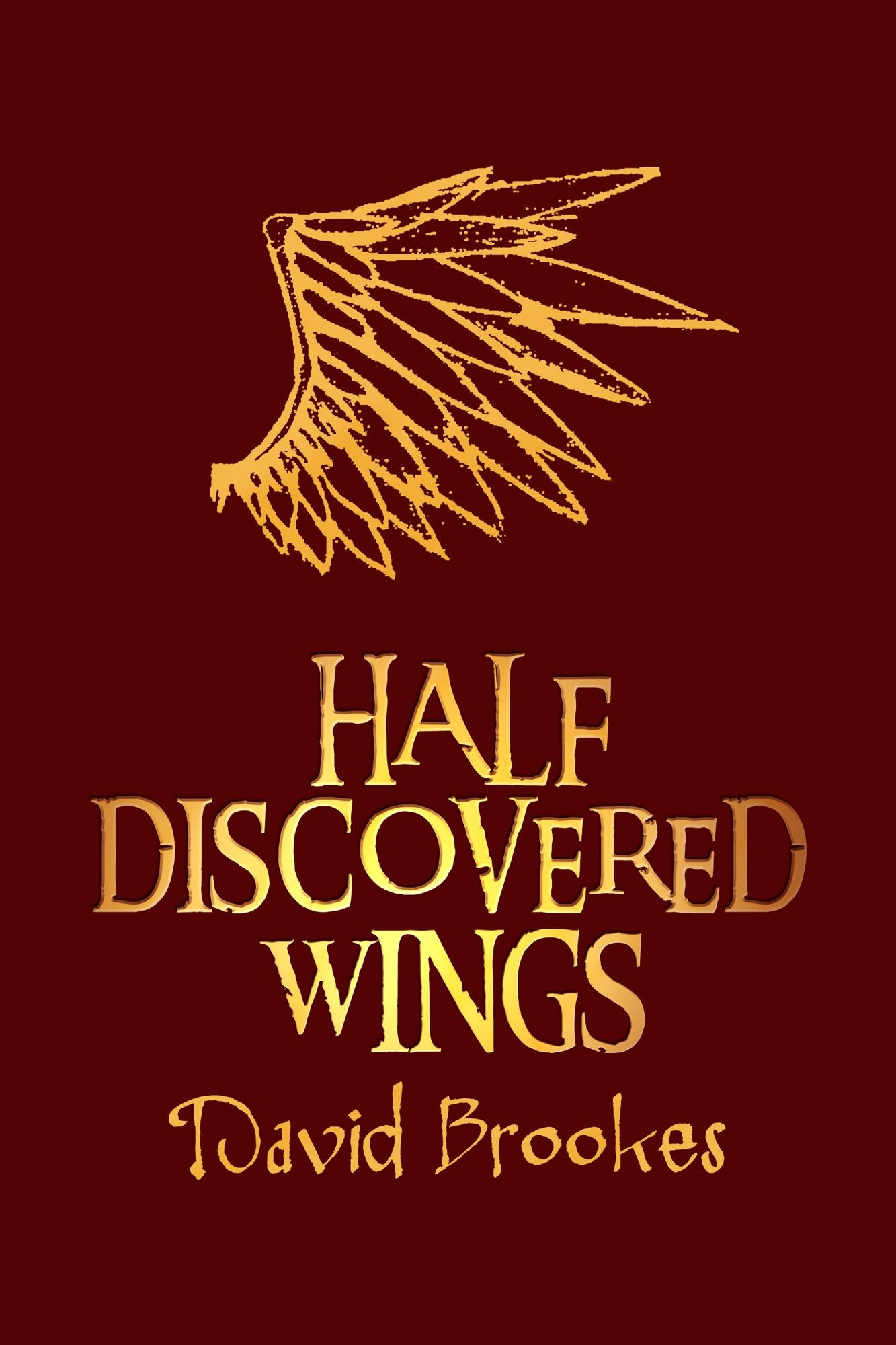 Half Discovered Wings