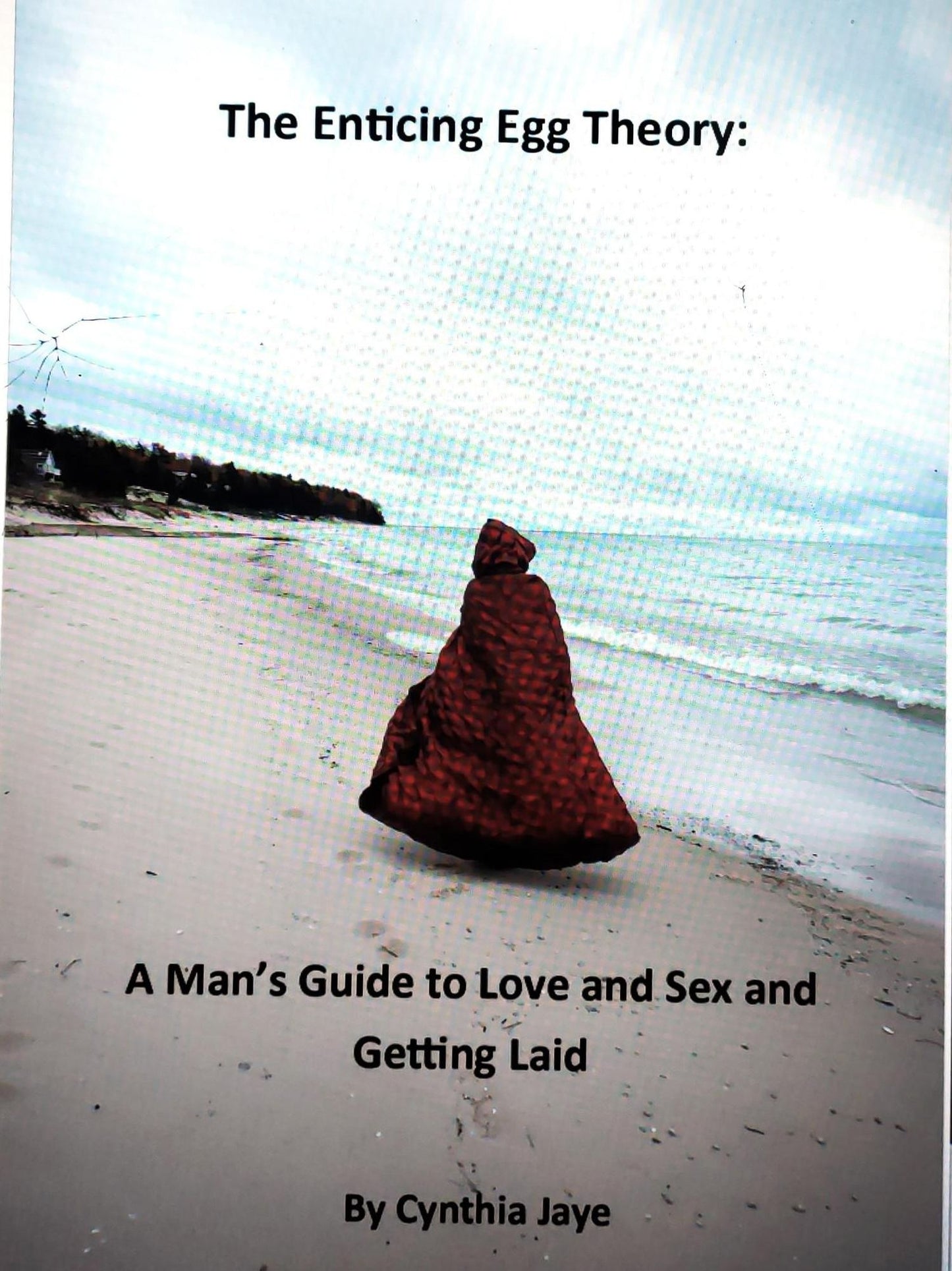 The Fuckable Egg Theory, A Man's Guide to Getting Laid