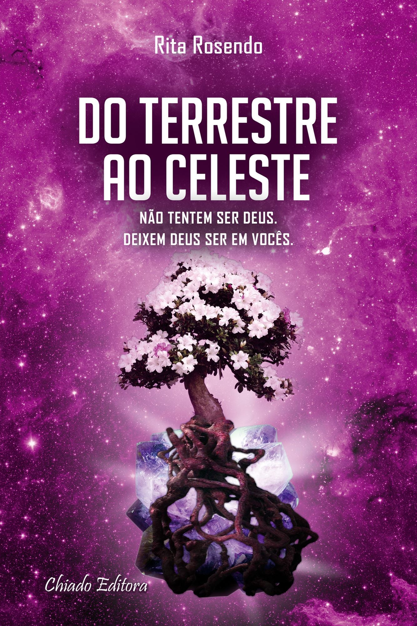 Do Terrestre ao Celeste