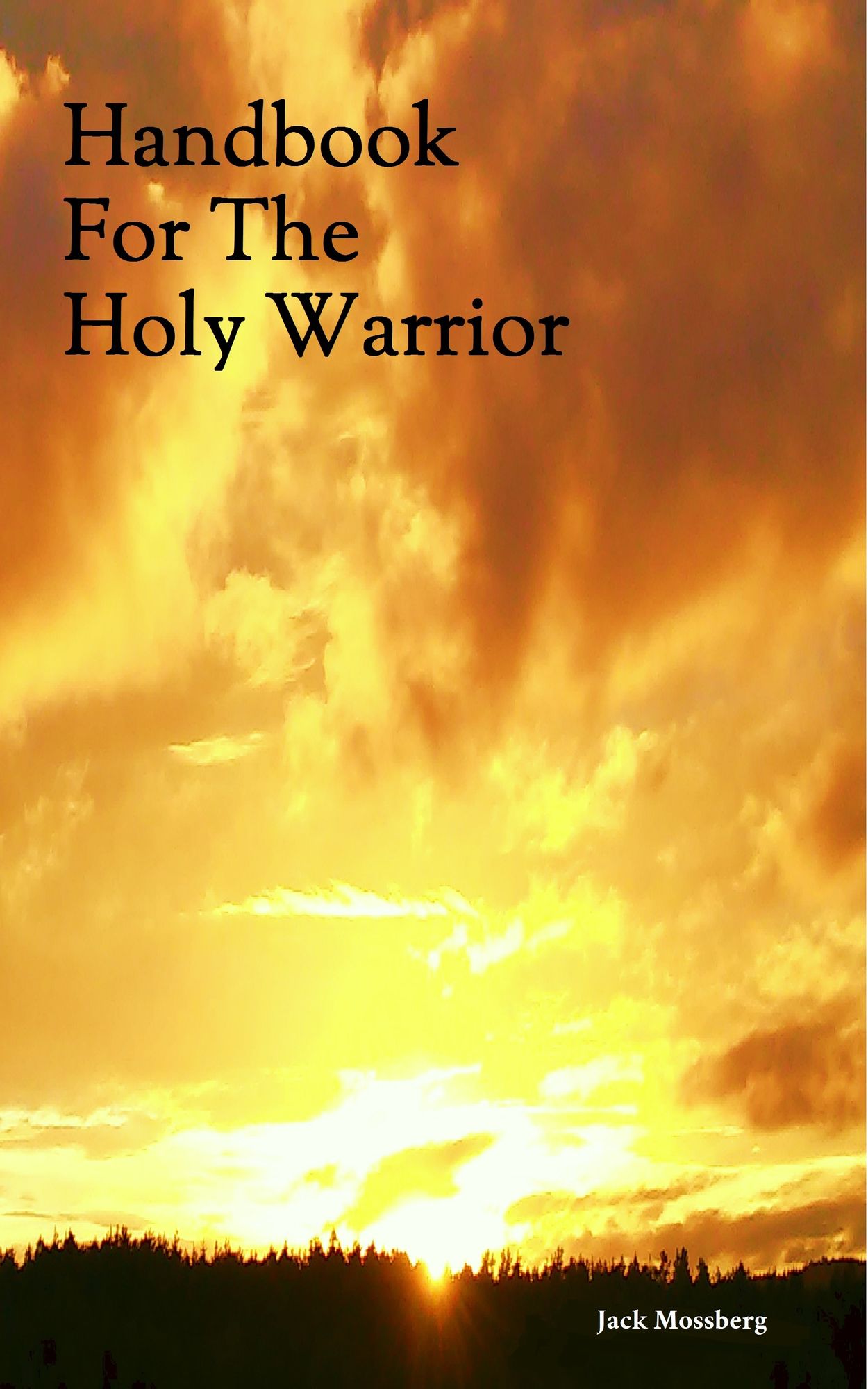Handbook for the Holy Warrior