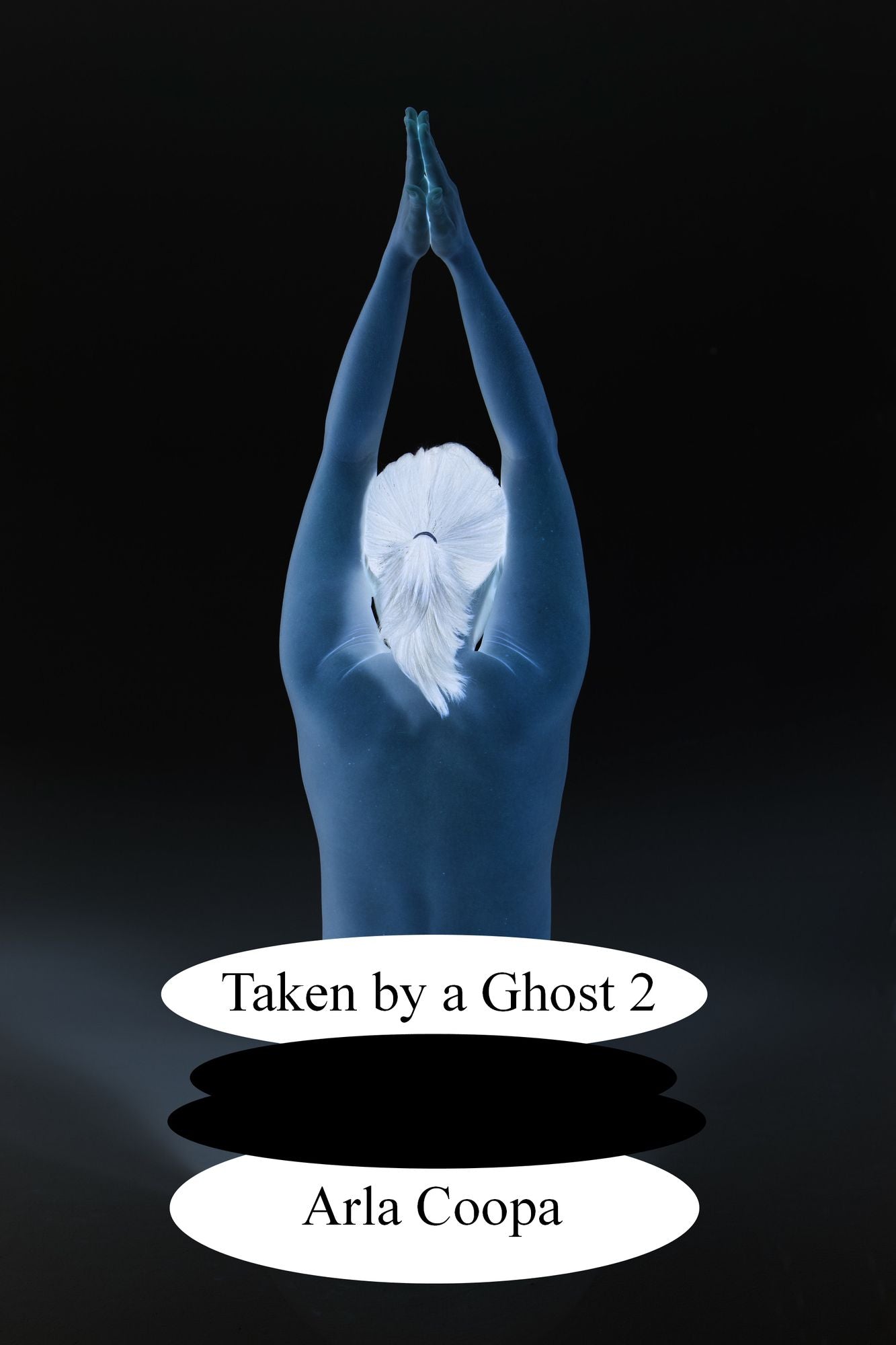 Taken by a Ghost 2