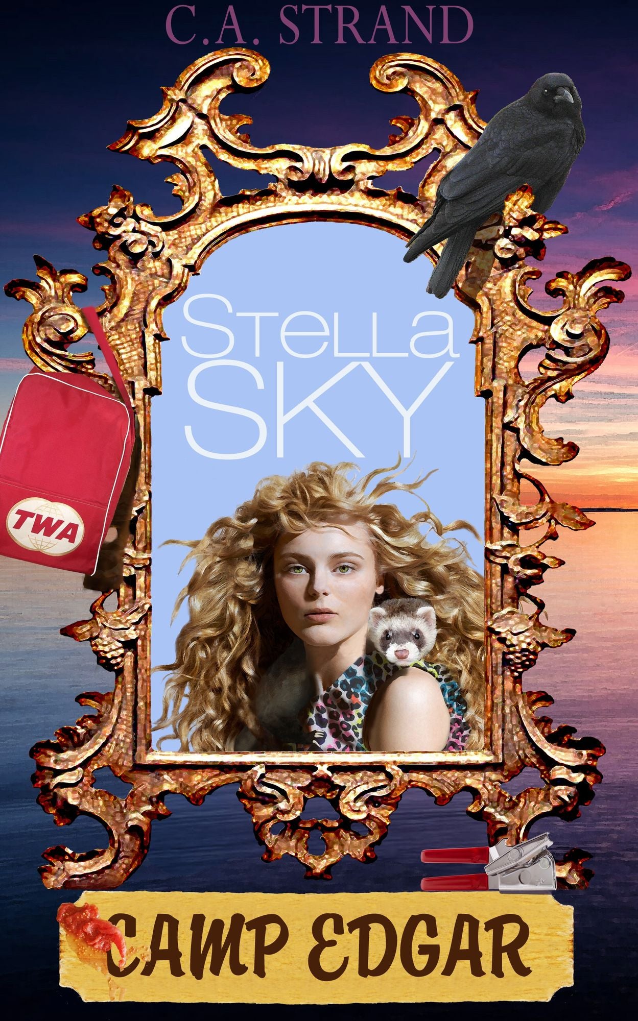 Stella Sky: Camp Edgar