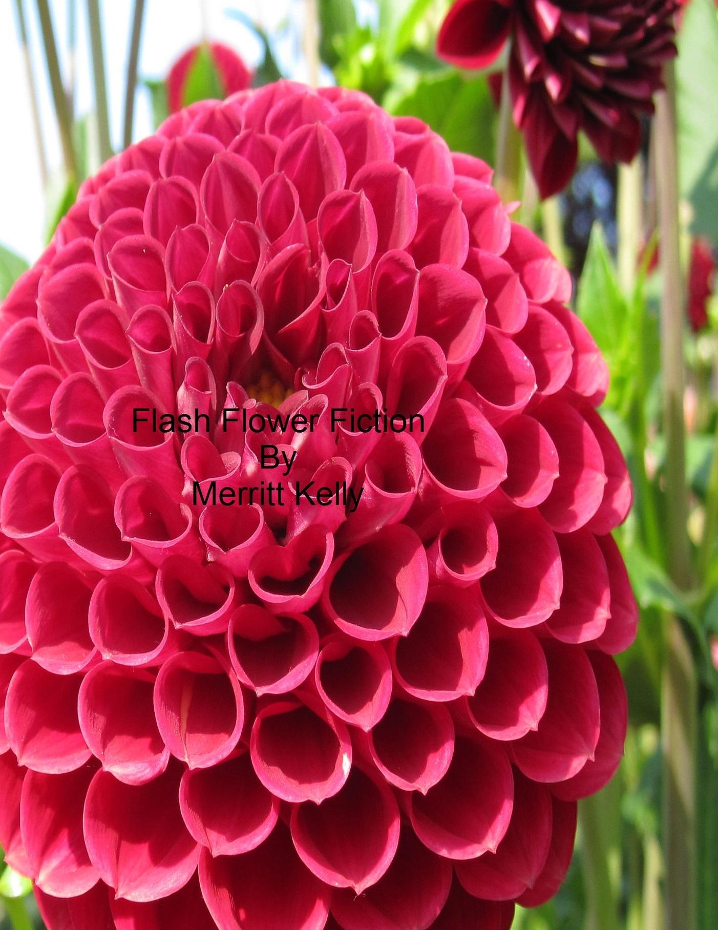Flash Flower Fiction