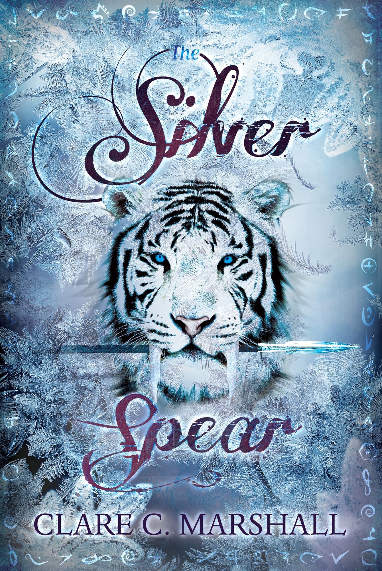 The Silver Spear