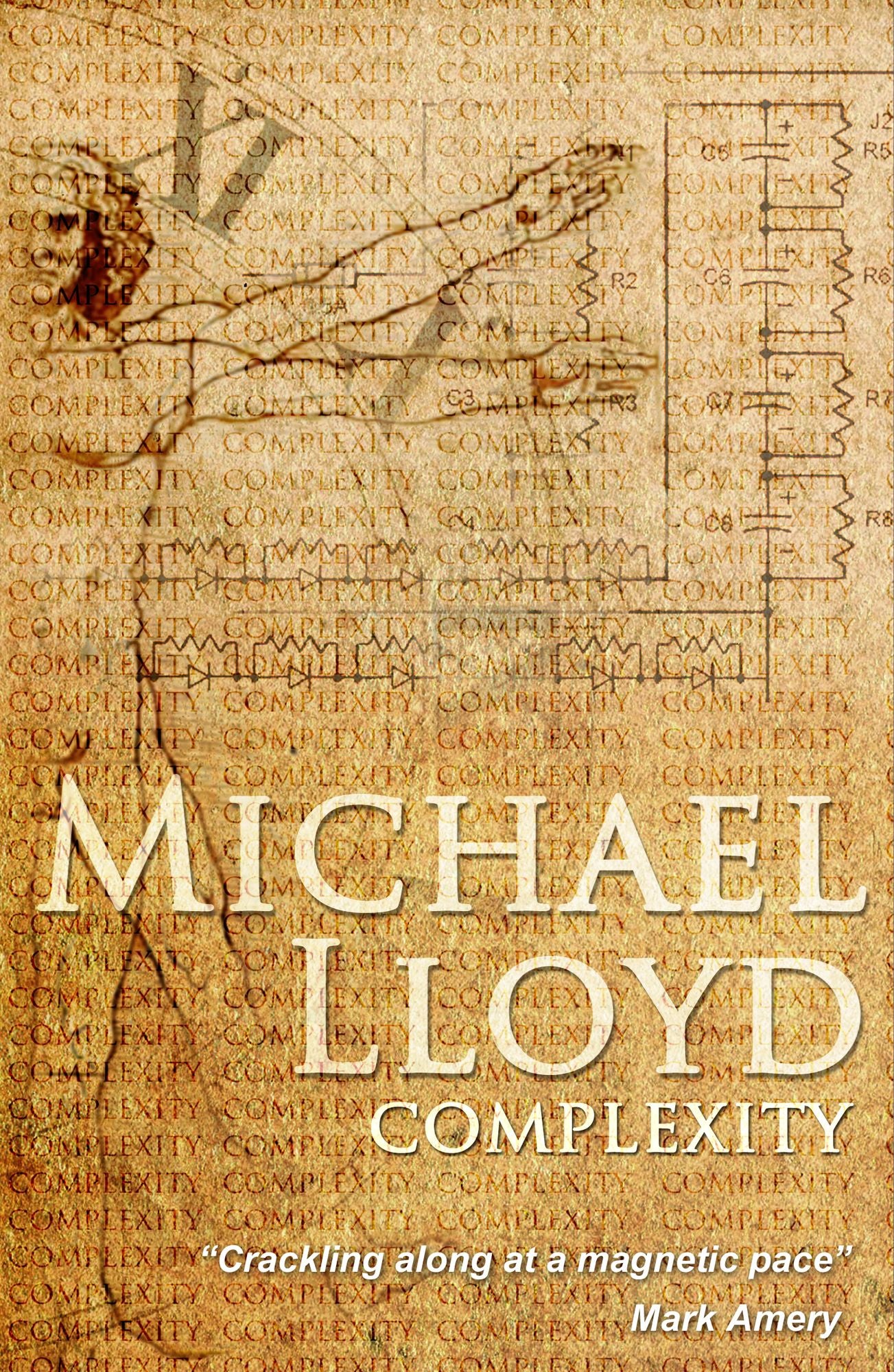 Complexity