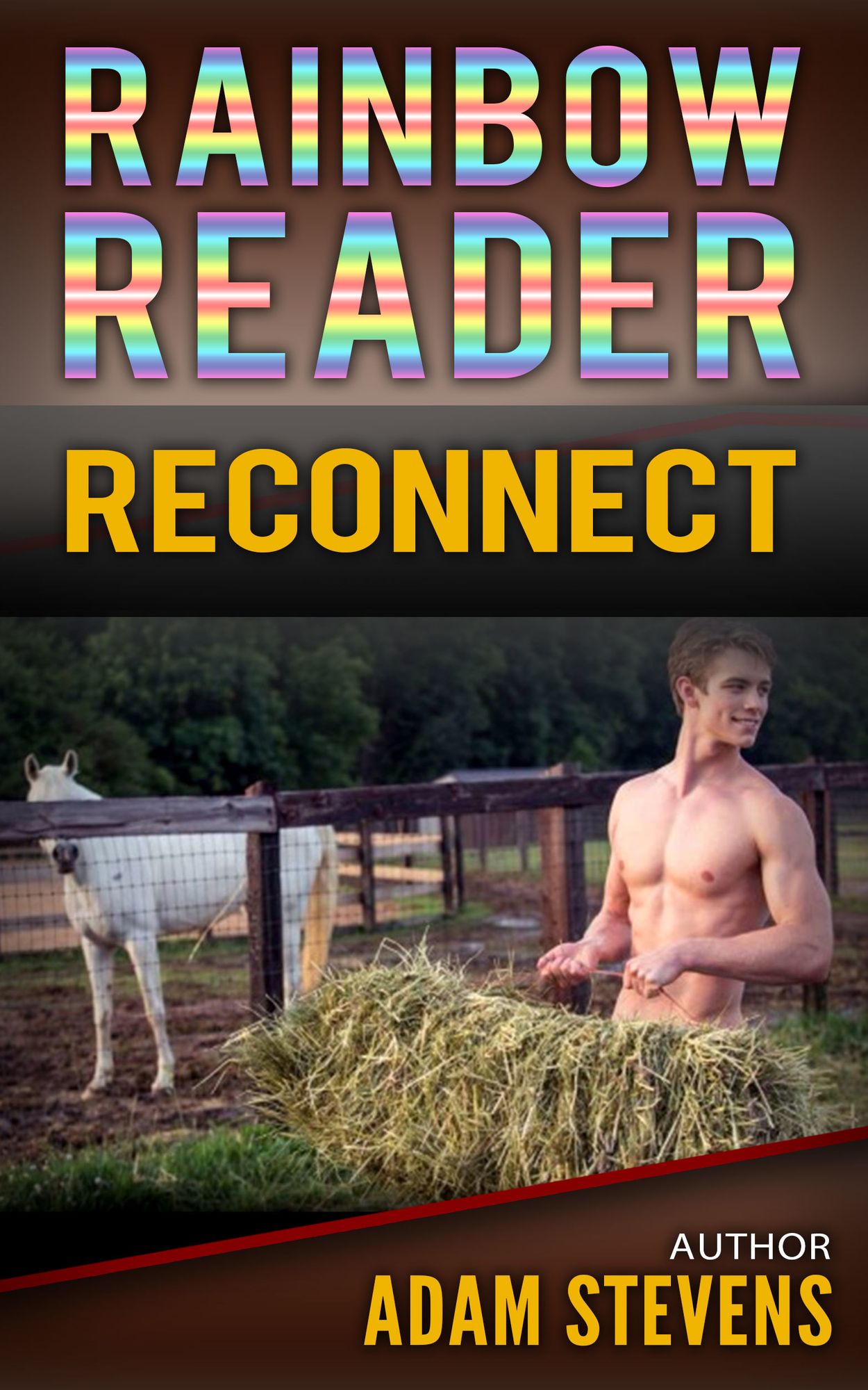 Rainbow Reader Brown: Reconnect