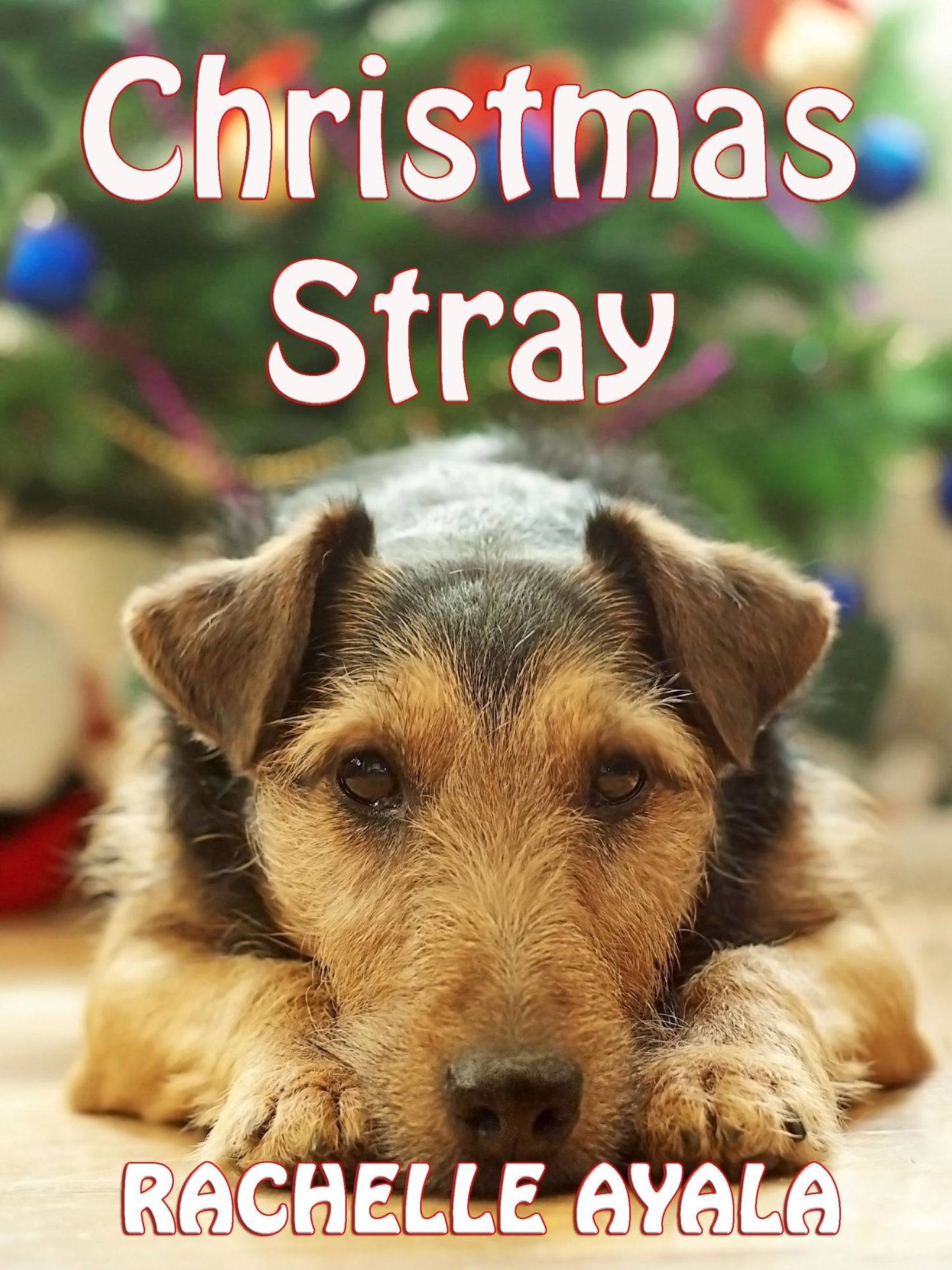 Christmas Stray
