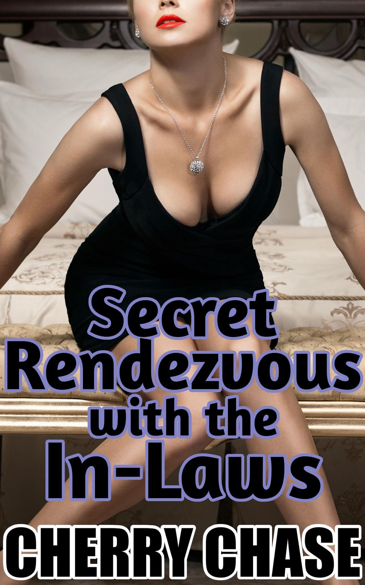 Secret Rendezvous with the In-Laws