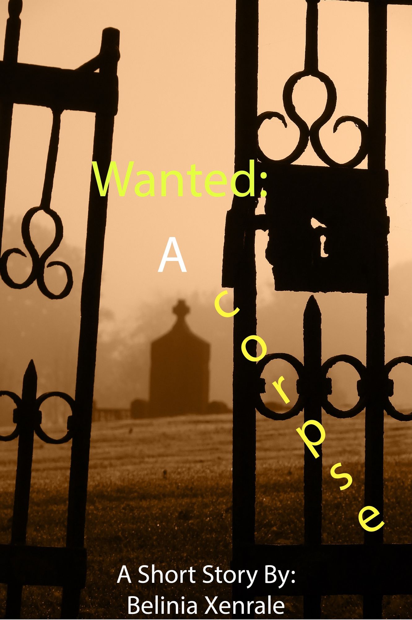 Wanted: A Corpse