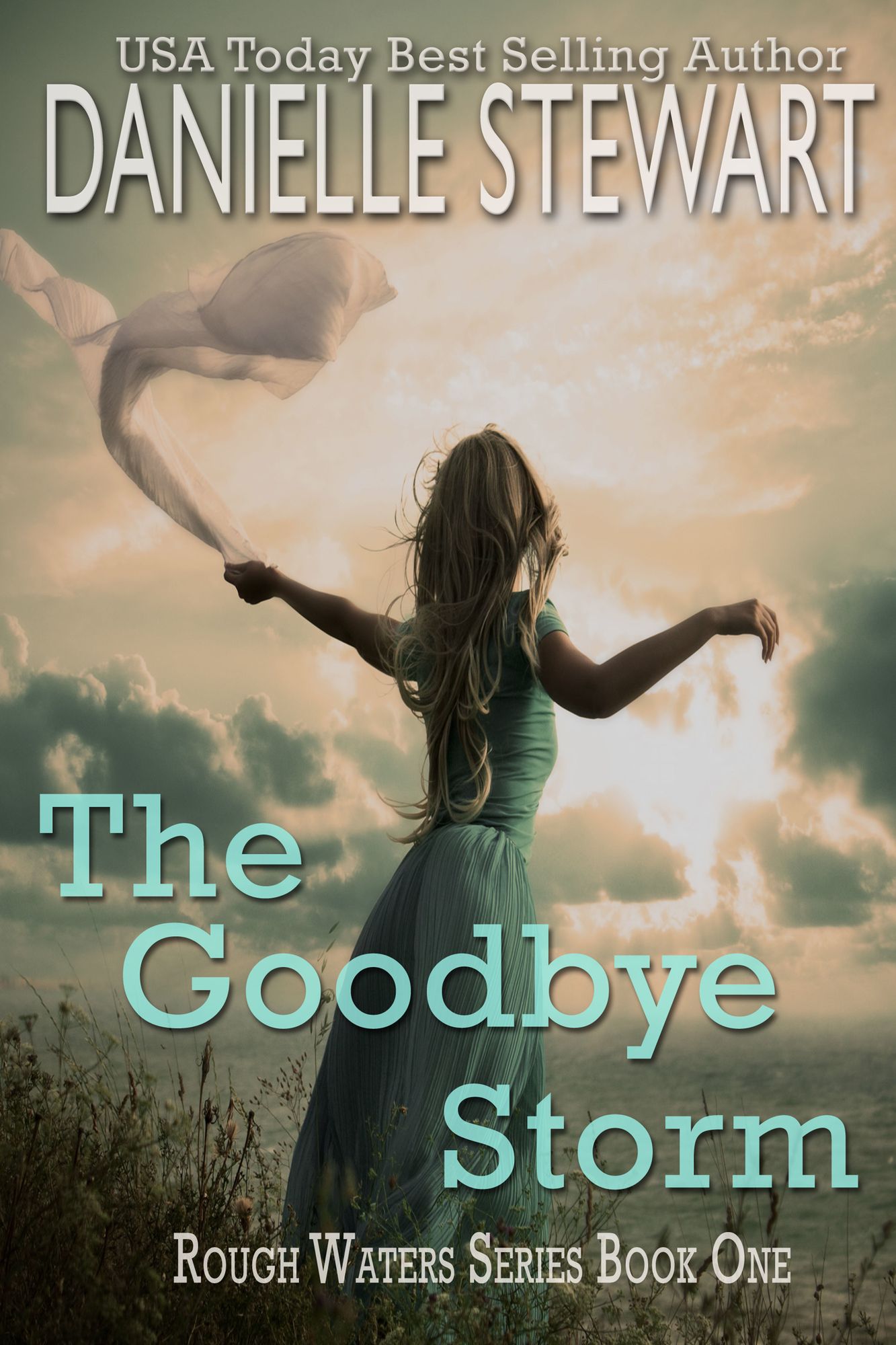 The Goodbye Storm