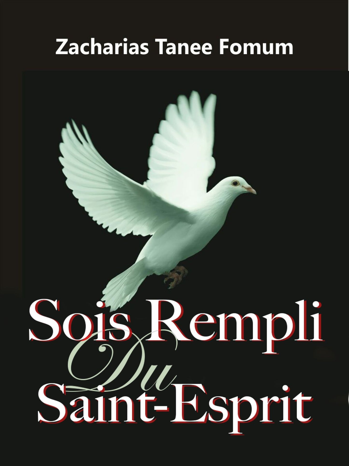 Sois Rempli du Saint-Esprit