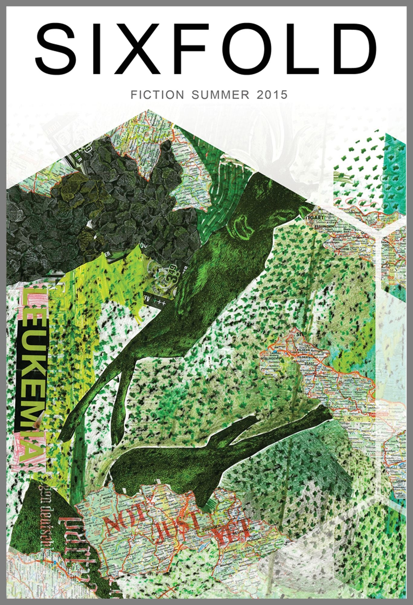 Sixfold Fiction Summer 2015