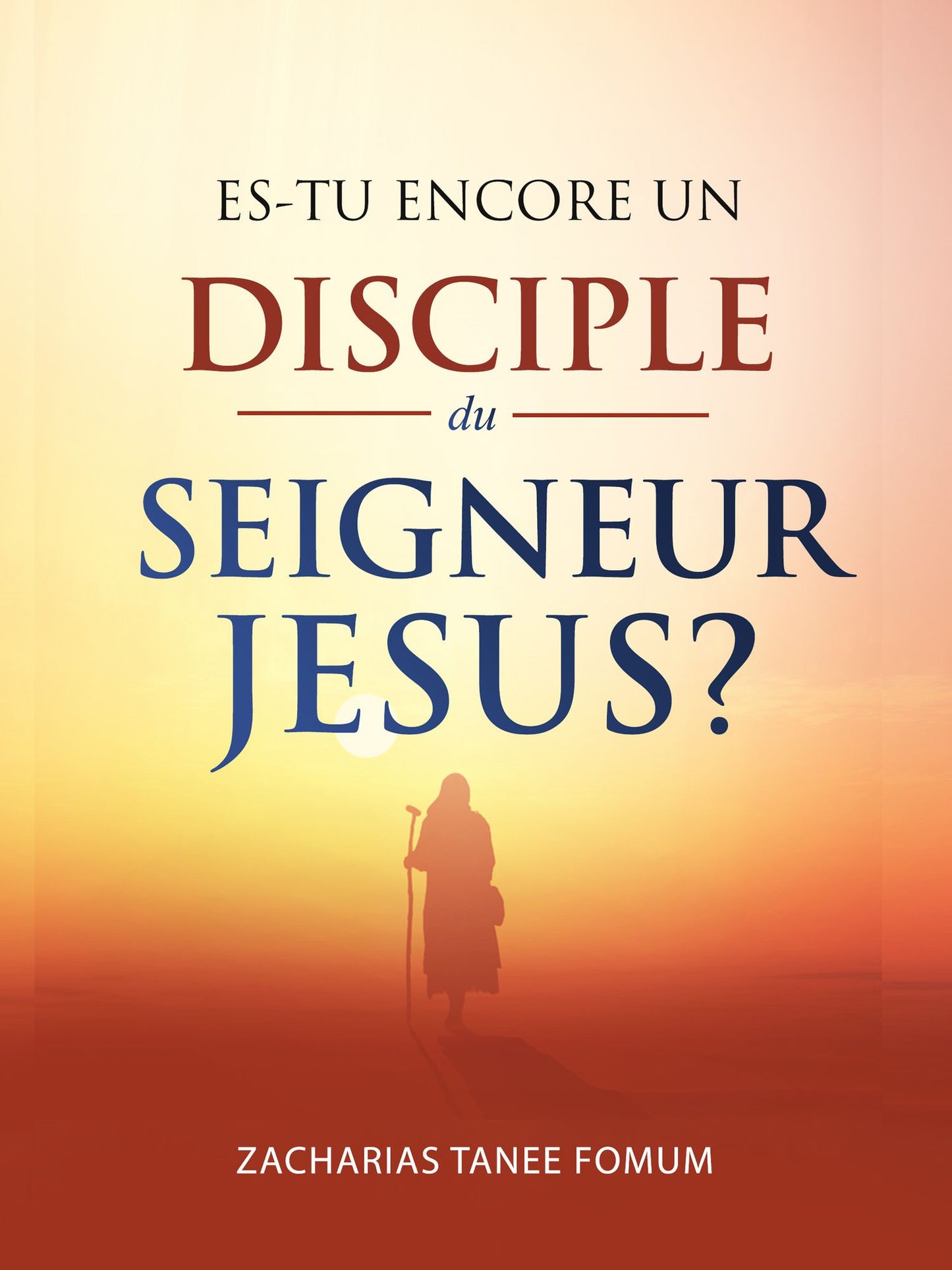 Es-tu Encore Un Disciple Du Seigneur Jesus?