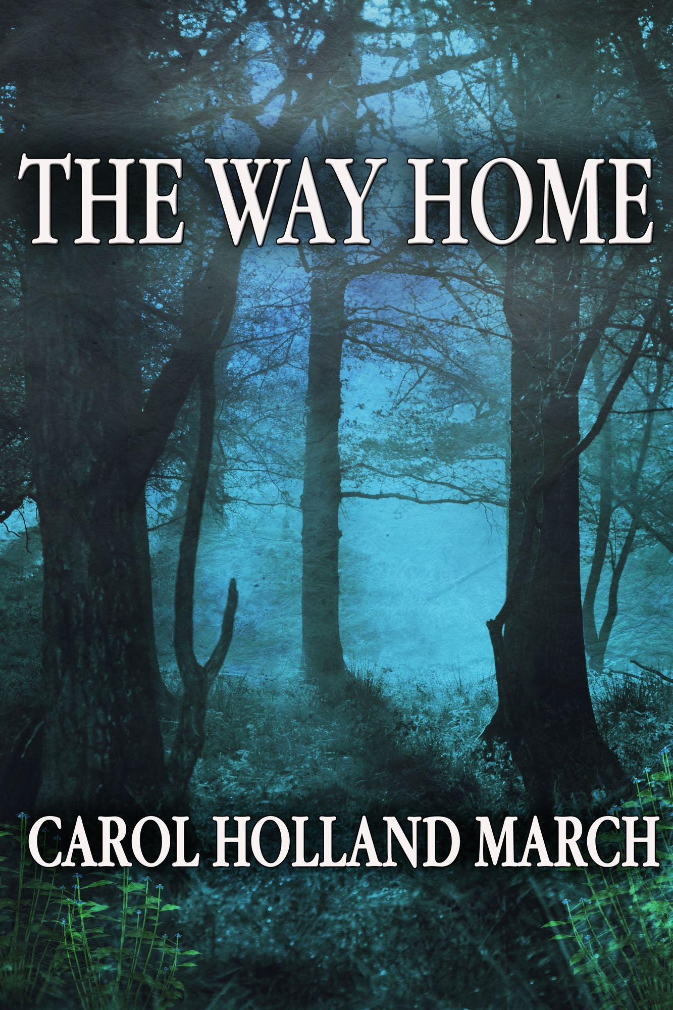 The Way Home