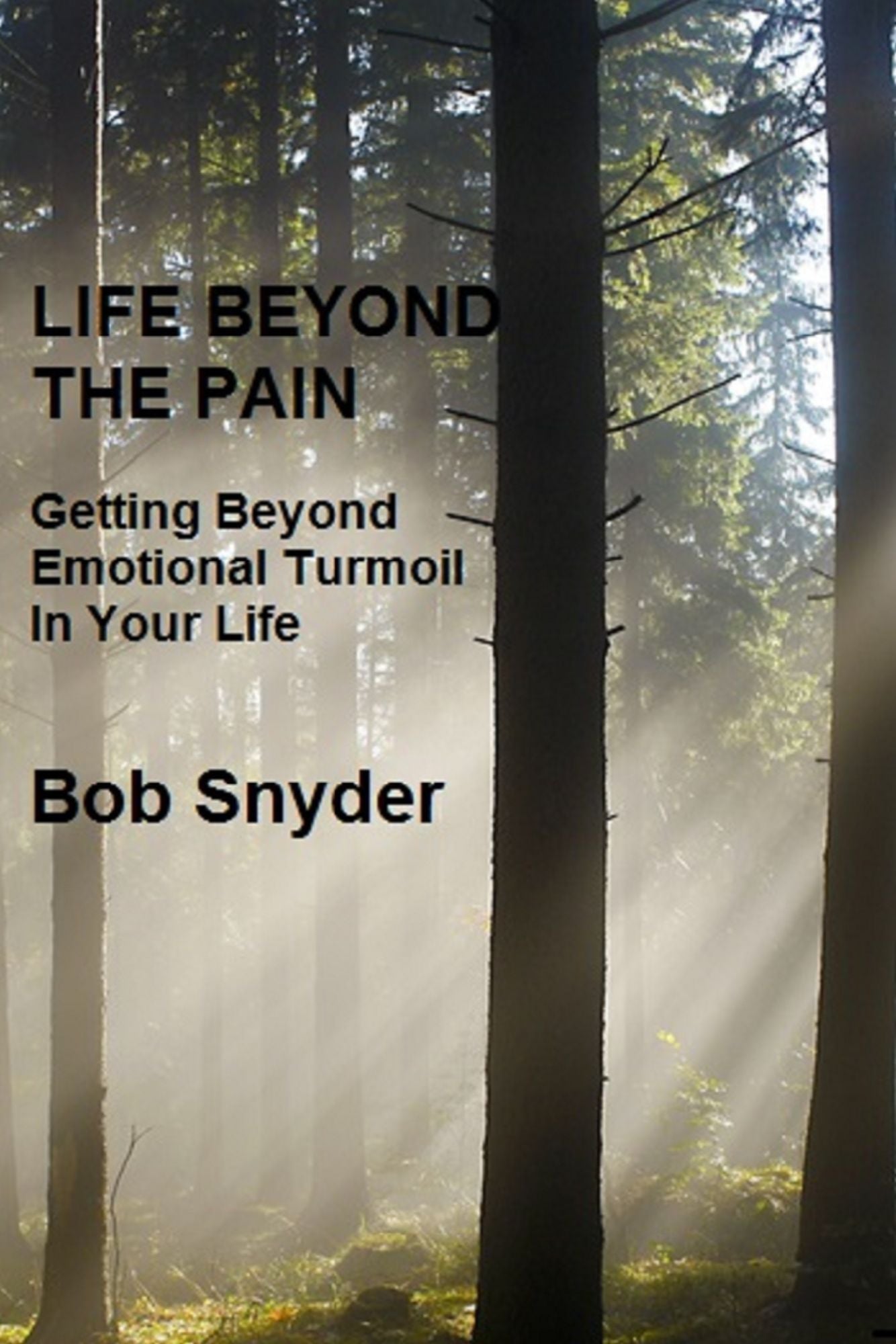 Life Beyond the Pain: Getting Beyond Emotional Turmoil In Your Life