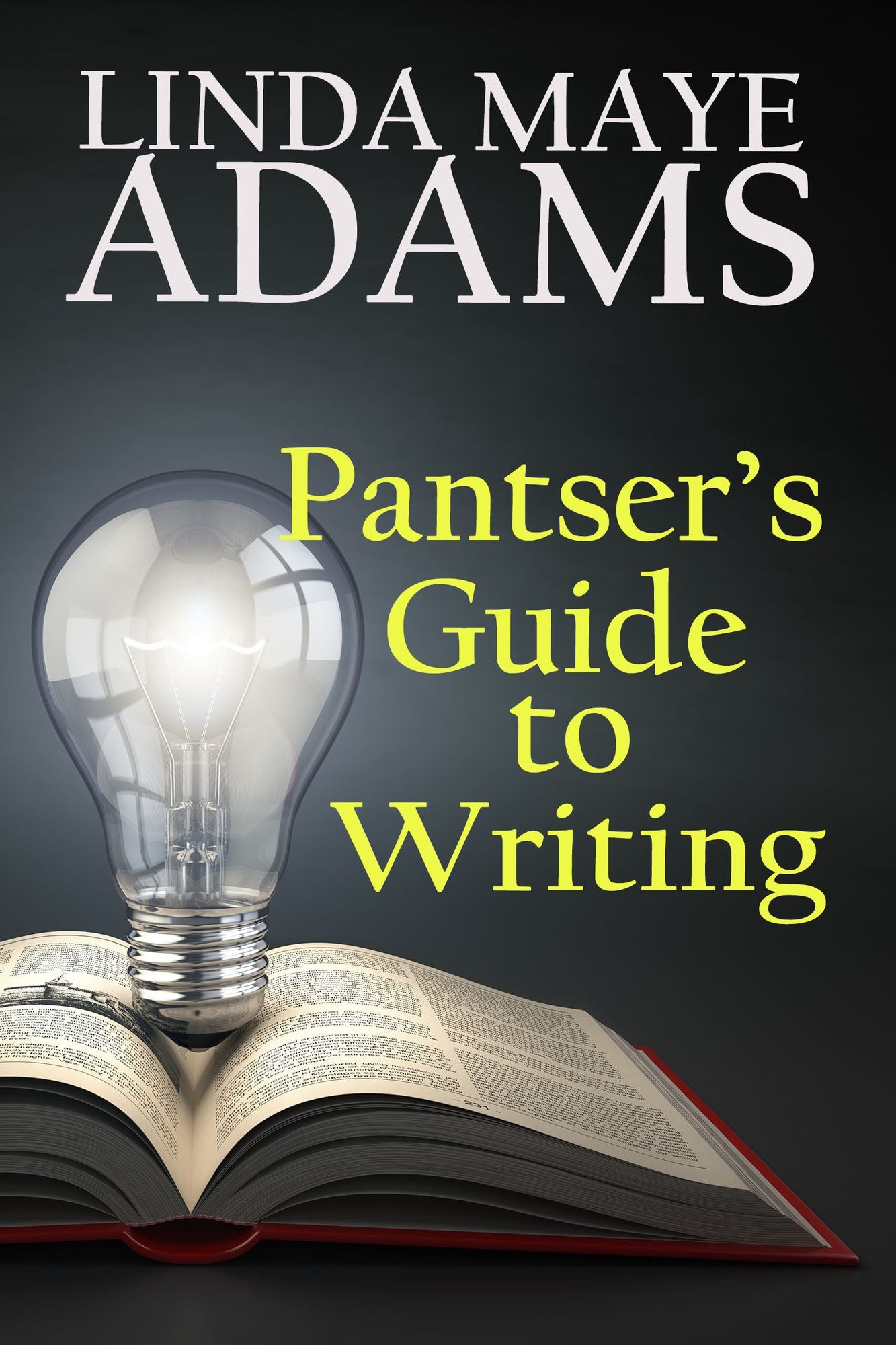 Pantser's Guide to Writing