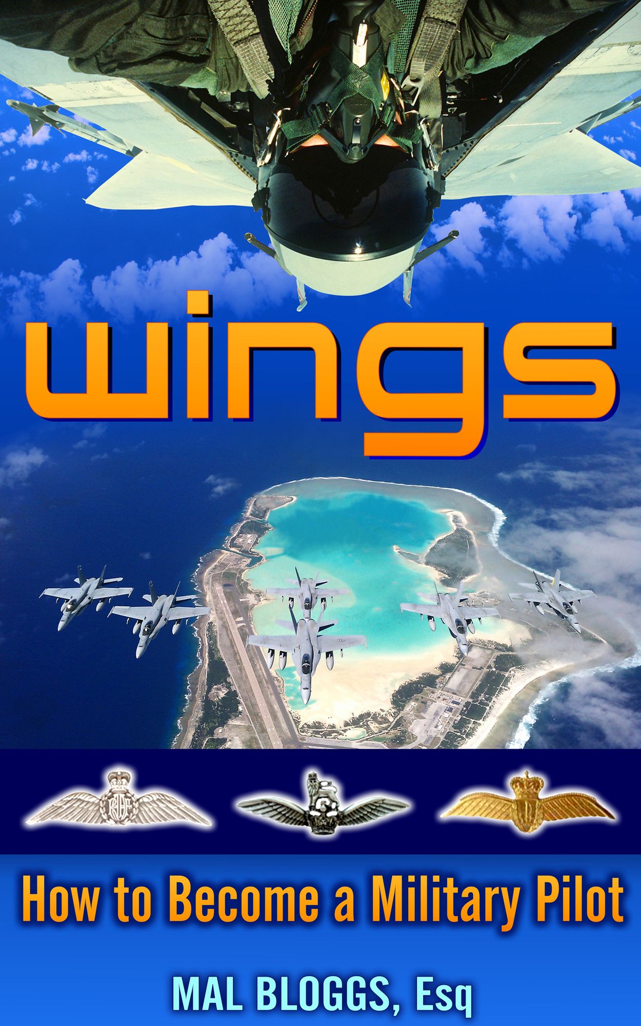 Wings