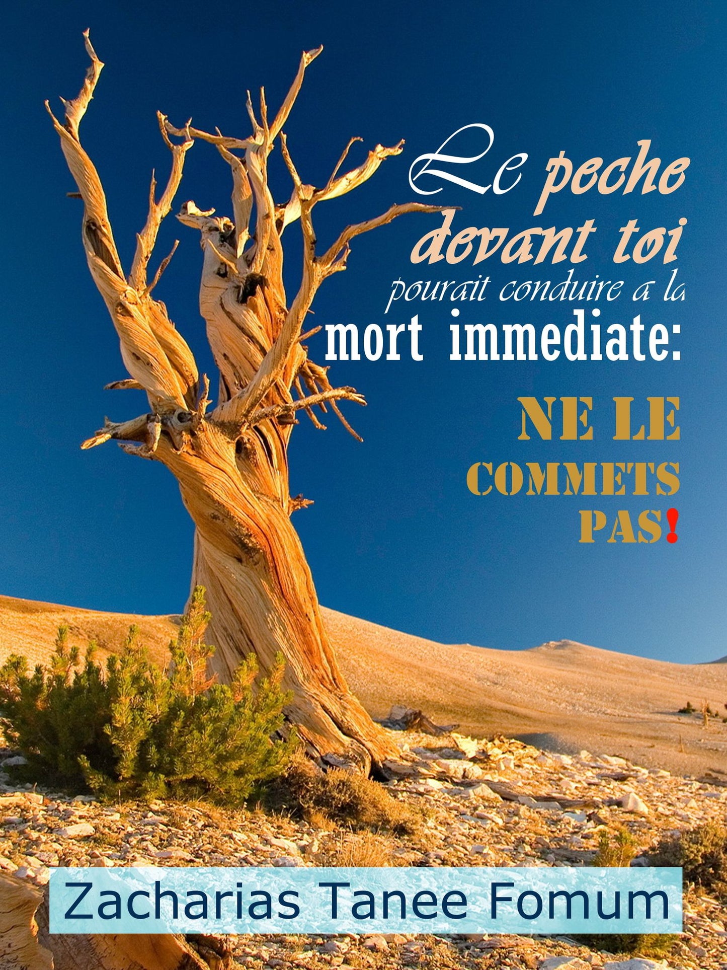 Le Péché Devant Toi Pourrait Conduire a la Mort Immediate: Ne le Commets Pas!