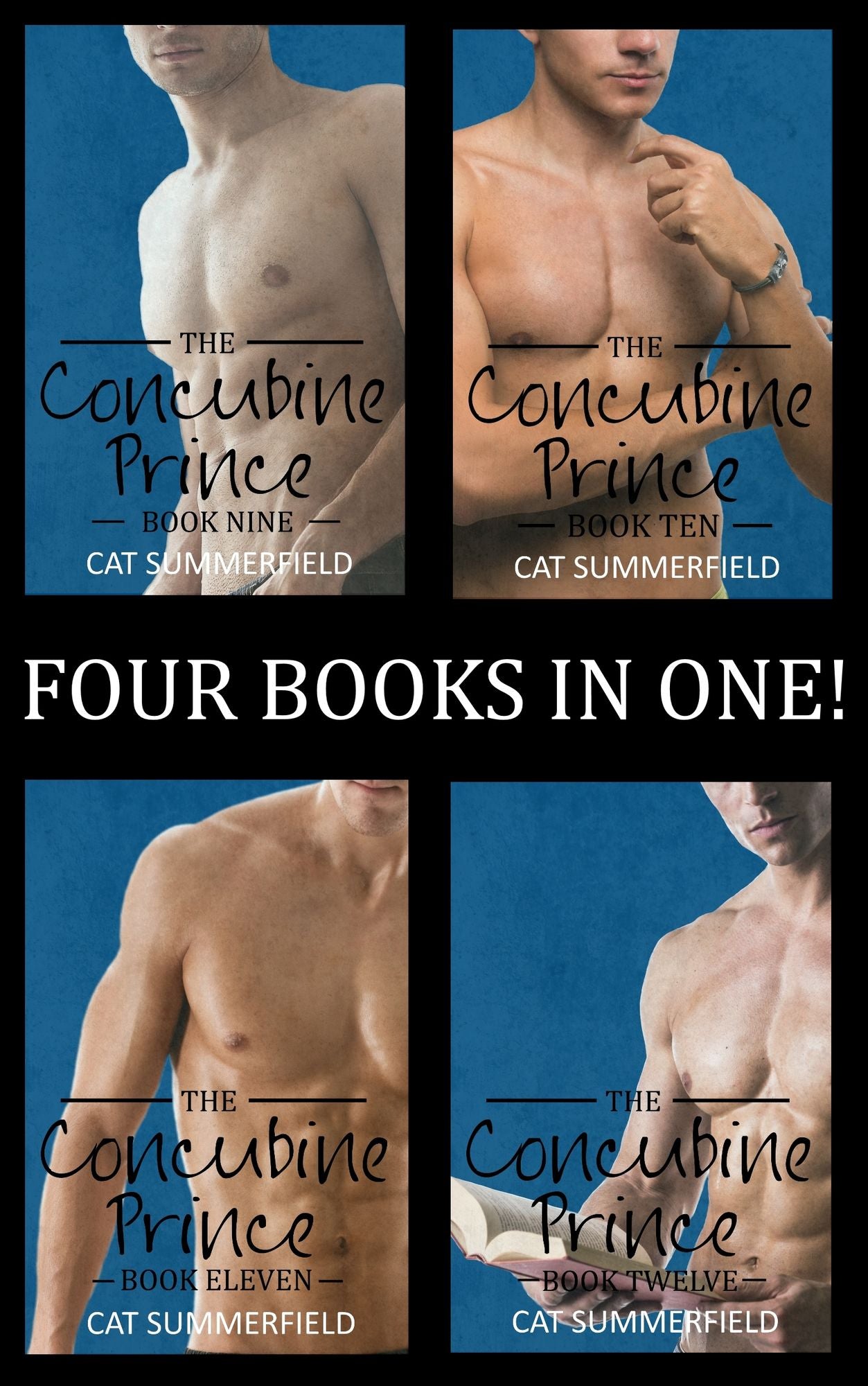 The Concubine Prince Anthology Volume Three (Books 9-12)